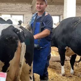 🩺 Консультації по ветеринарії ВРХ, репродуктологія та навчання персоналу | Олексій Мисник