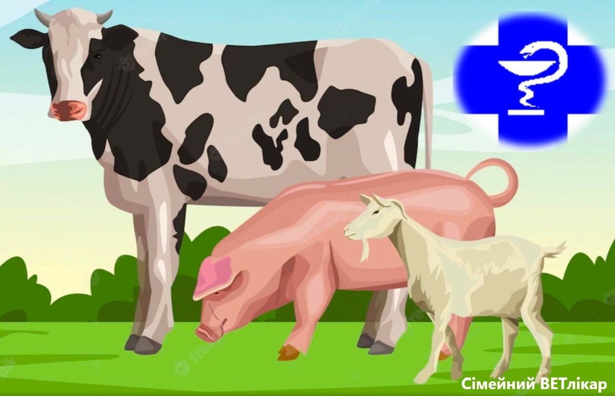 ВетСервіс🐮🐷🐐