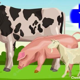 ВетСервіс🐮🐷🐐