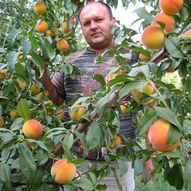 Послуги агронома