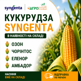 Гібриди кукурудзи Syngenta вже в наявності на складі «Агрохім»