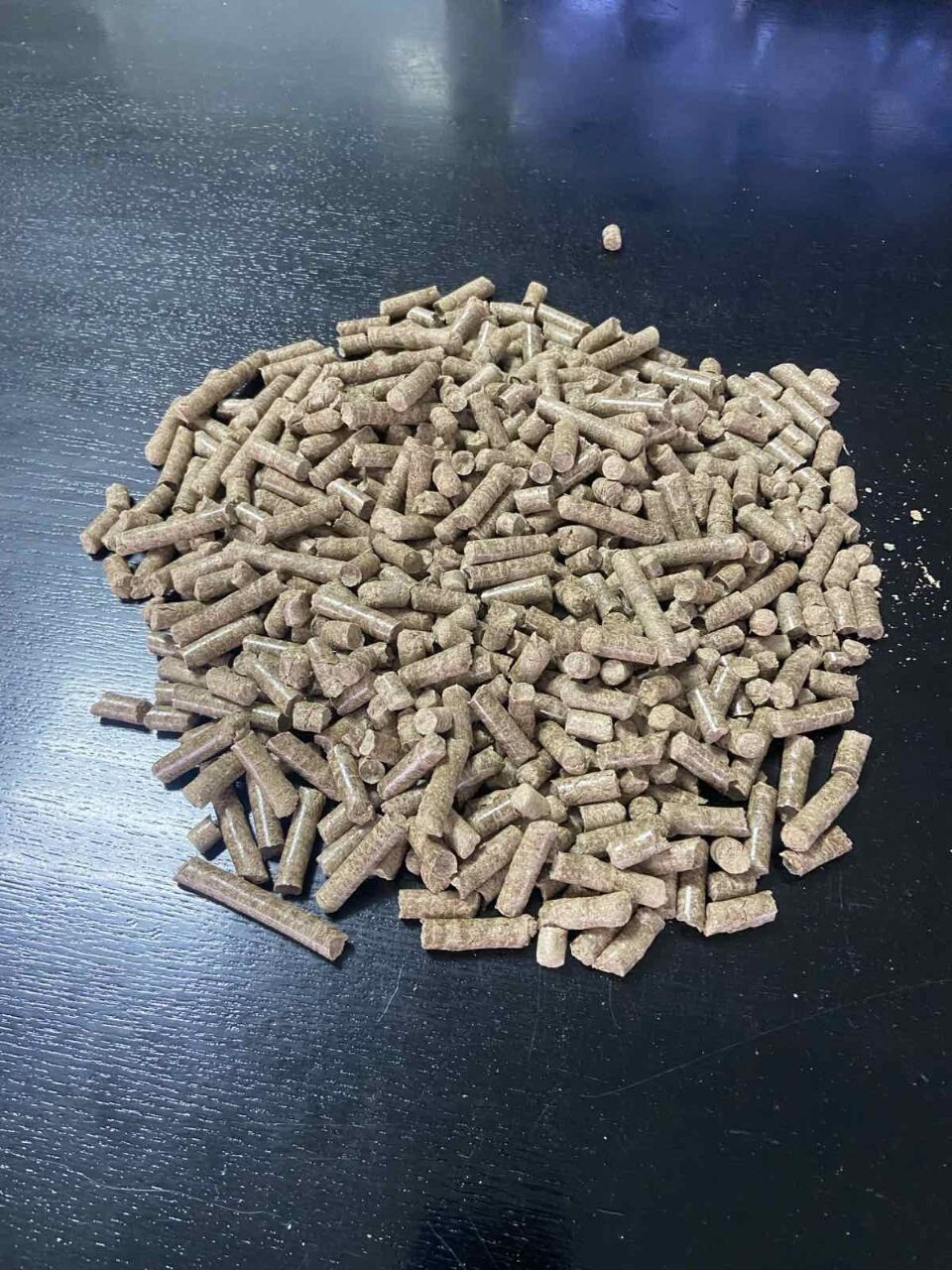 Саджанець (Ризома) енергетичної культури Міскантус Гіганський.