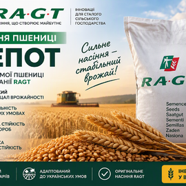 Озима пшениця RAGT ДЕПОТ