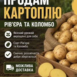 Картопля