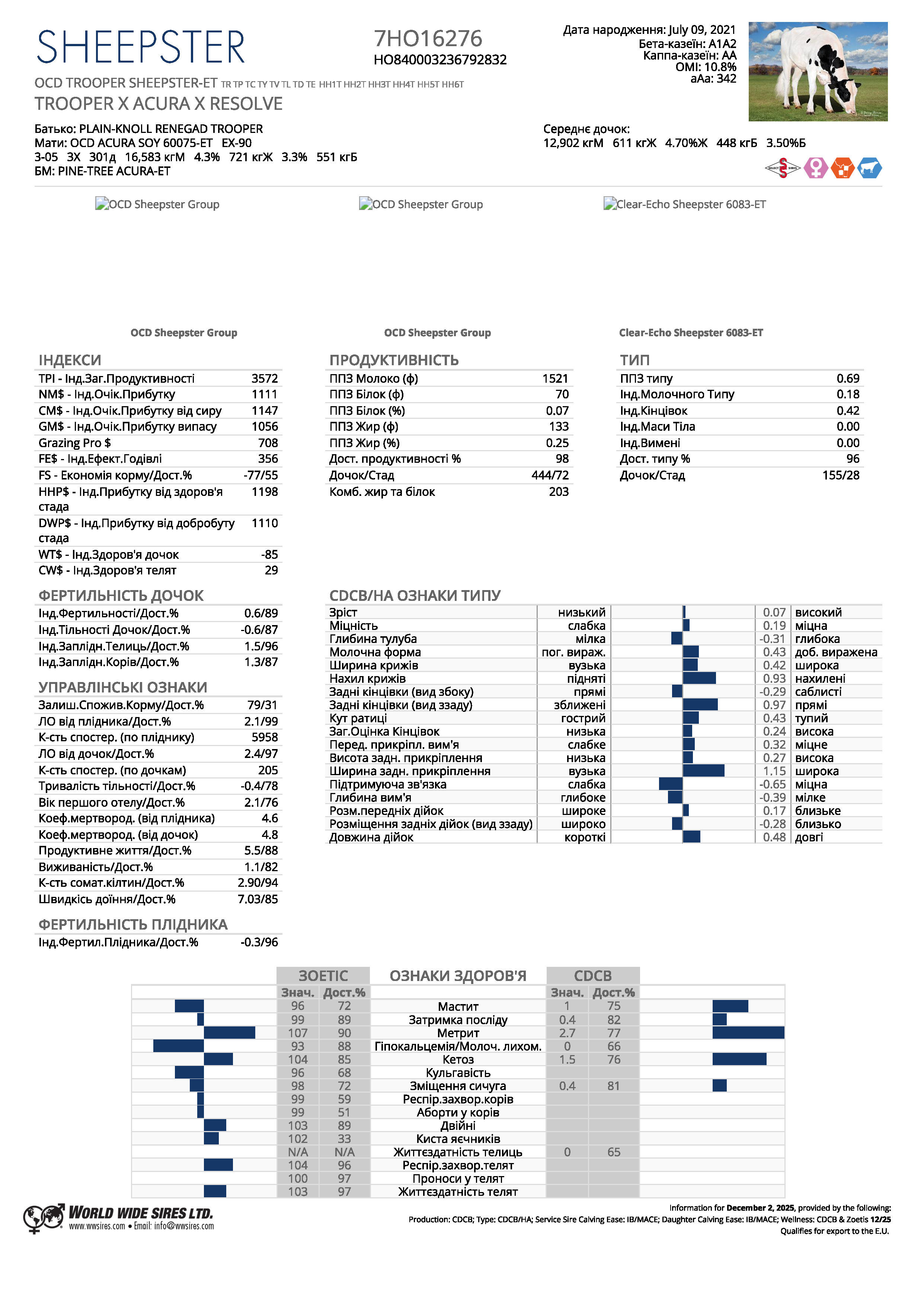 спермопродукція бугай SHEEPSTER