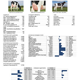 спермопродукція бугай BOLT ACTION