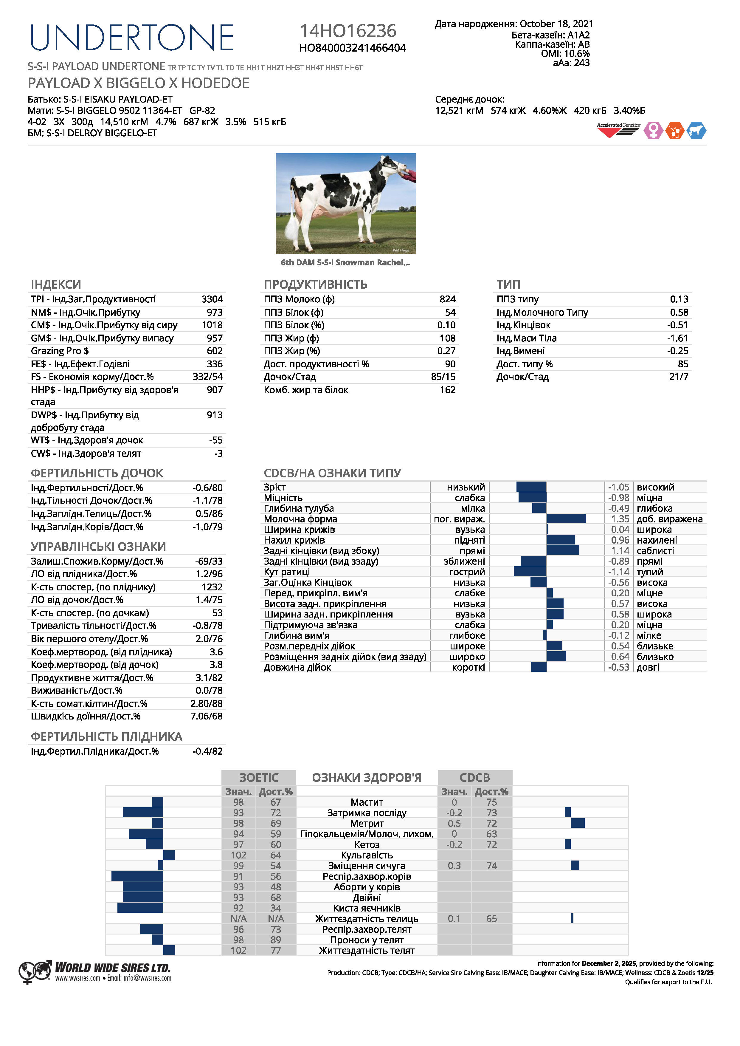 спермопродукція Бугай UNDERTONE голштин чорно-рябий