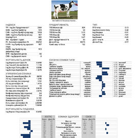 спермопродукція Бугай UNDERTONE голштин чорно-рябий