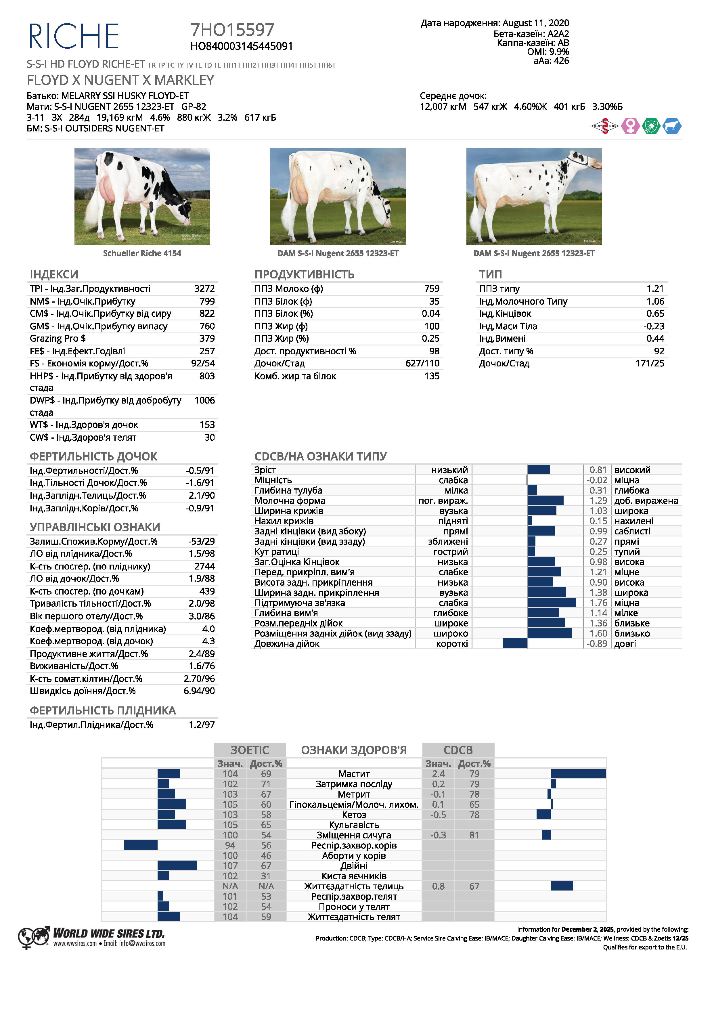 спермопродукція Бугай RICHE голштин чорно-рябий