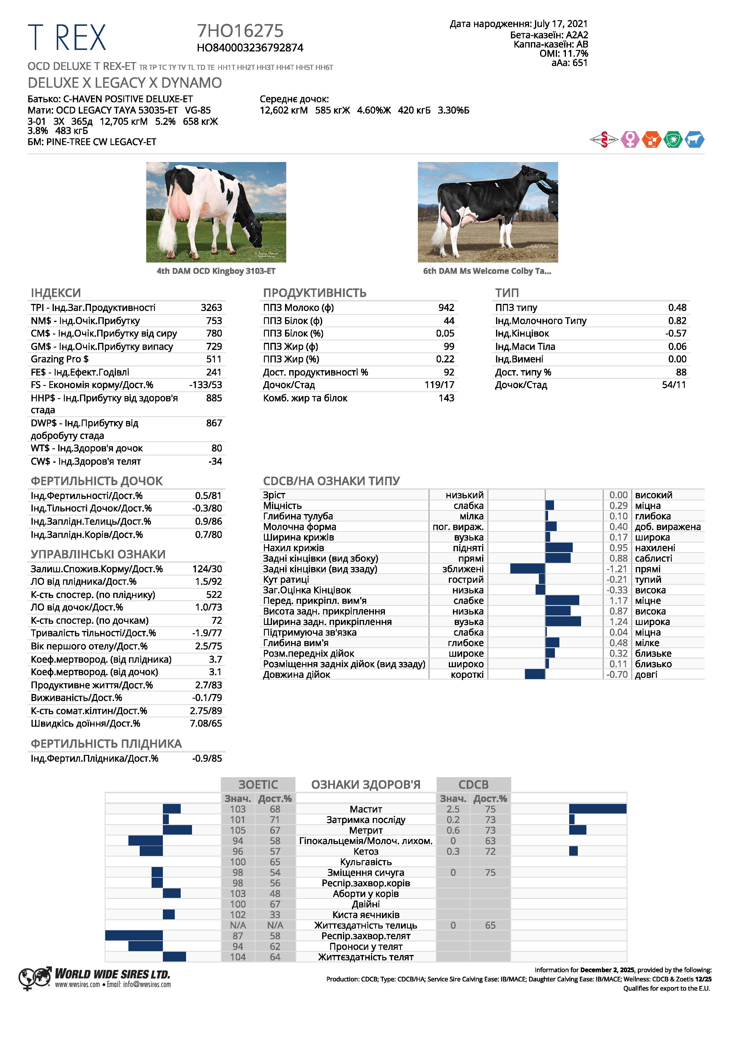 спермопродукція Бугай T REX голштин чорно-рябий