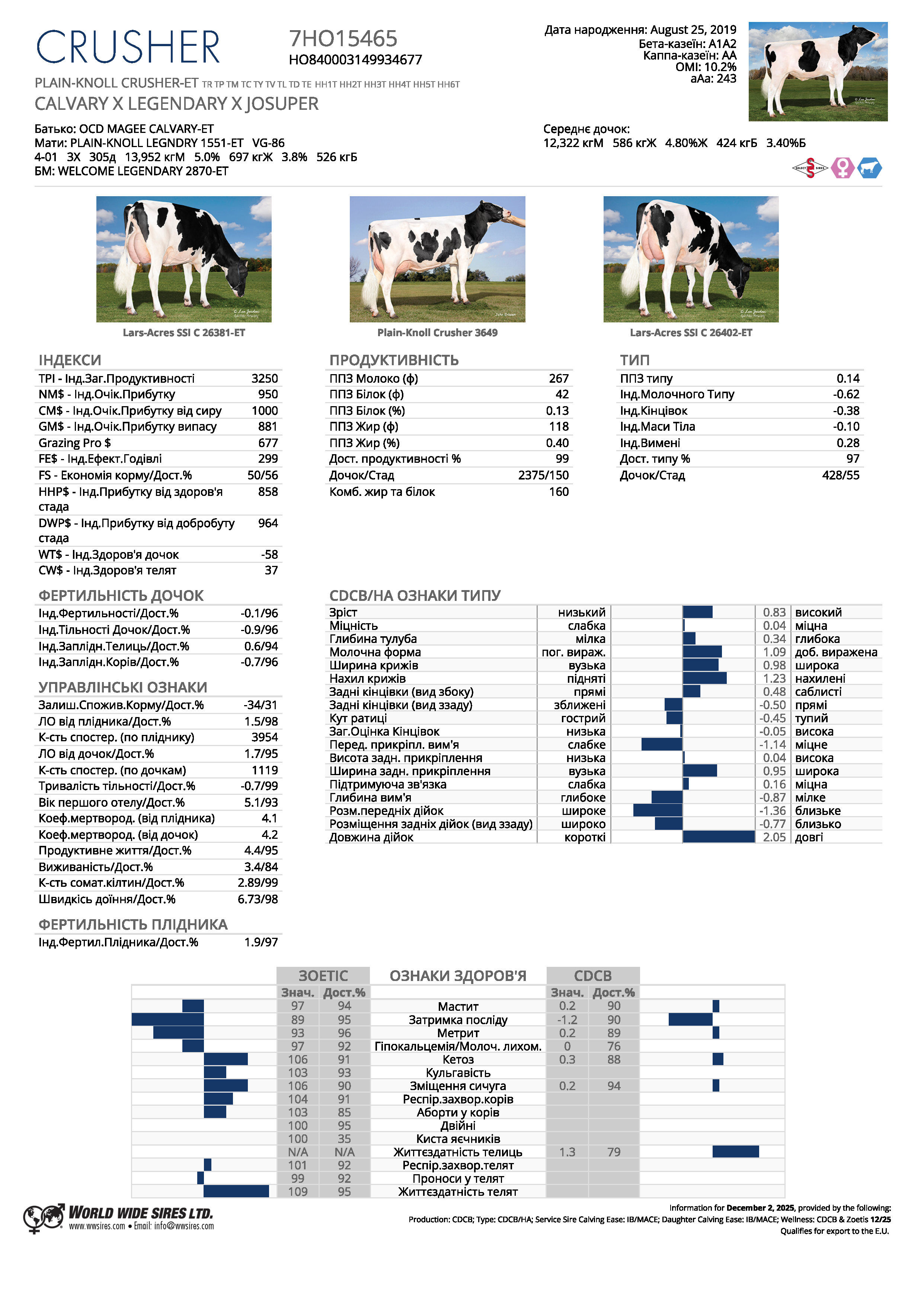 спермопродукція Бугай CRUSHER голштин чорно-рябий