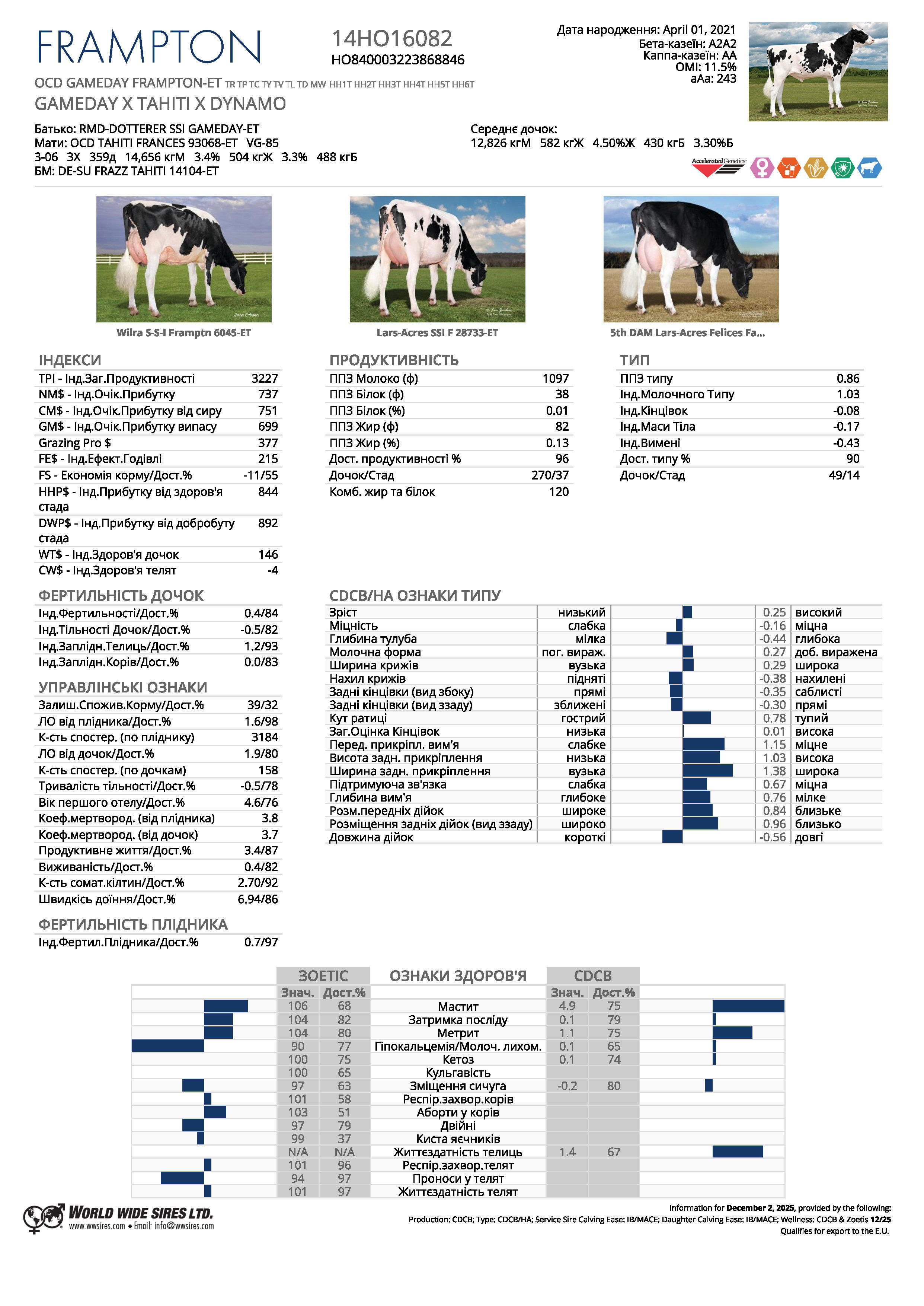 спермопродукція Бугай FRAMPTON голштин чорно-рябий