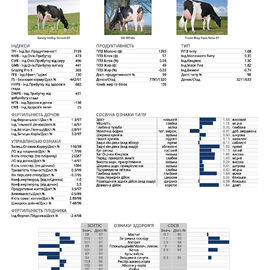 спермопродукція Бугай TAOS