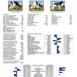 спермопродукція бугай EASTON