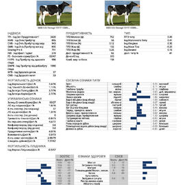 спермопродукція Бугай AULIUS