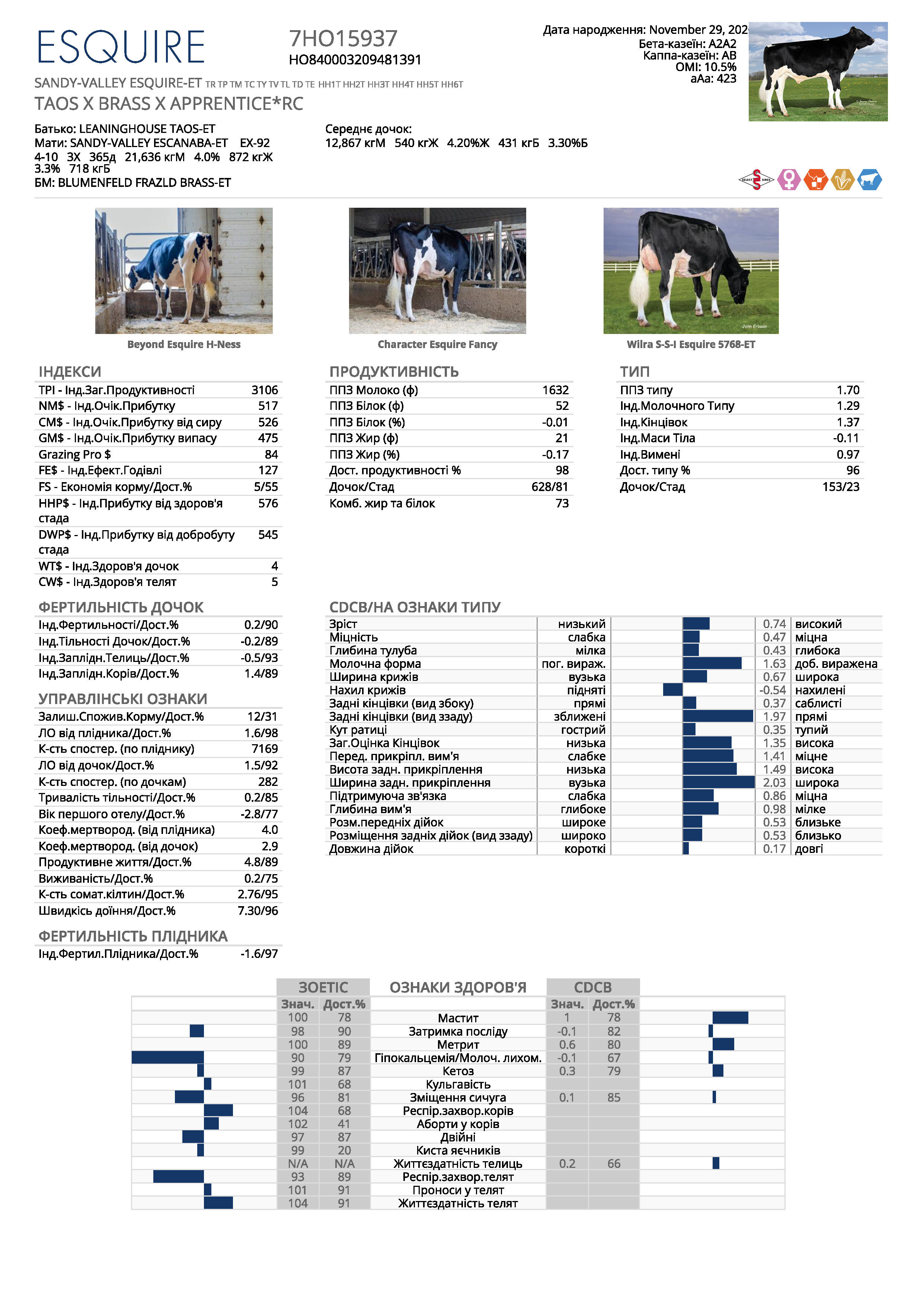 Бугай ESQUIRE голштин чорно-рябий