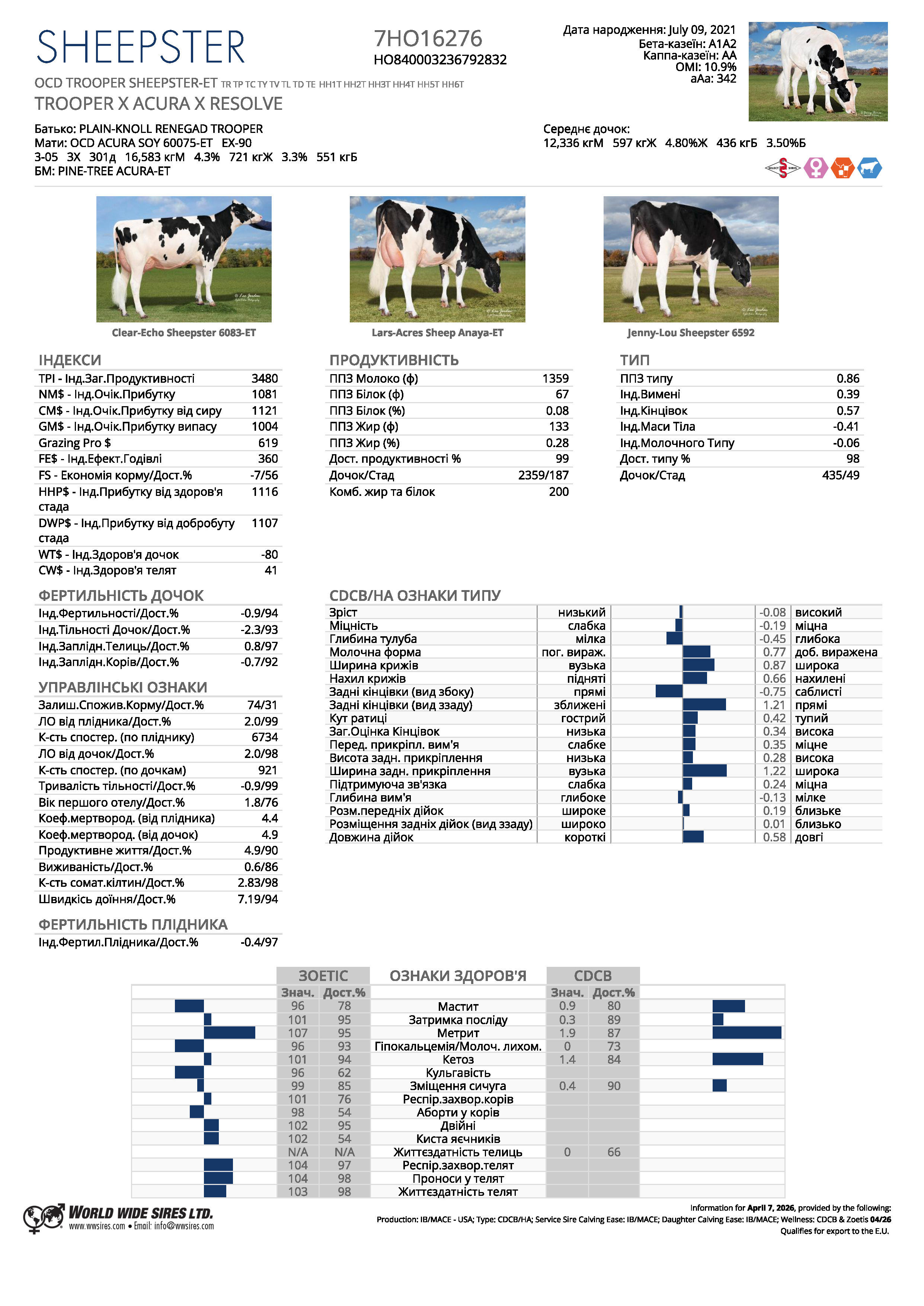 Спермопродукція бугай 𝗦𝗛𝗘𝗘𝗣𝗦𝗧𝗘𝗥