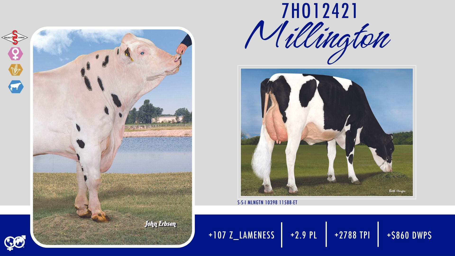 Спермопродукція бугай Millington