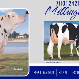 Спермопродукція бугай Millington