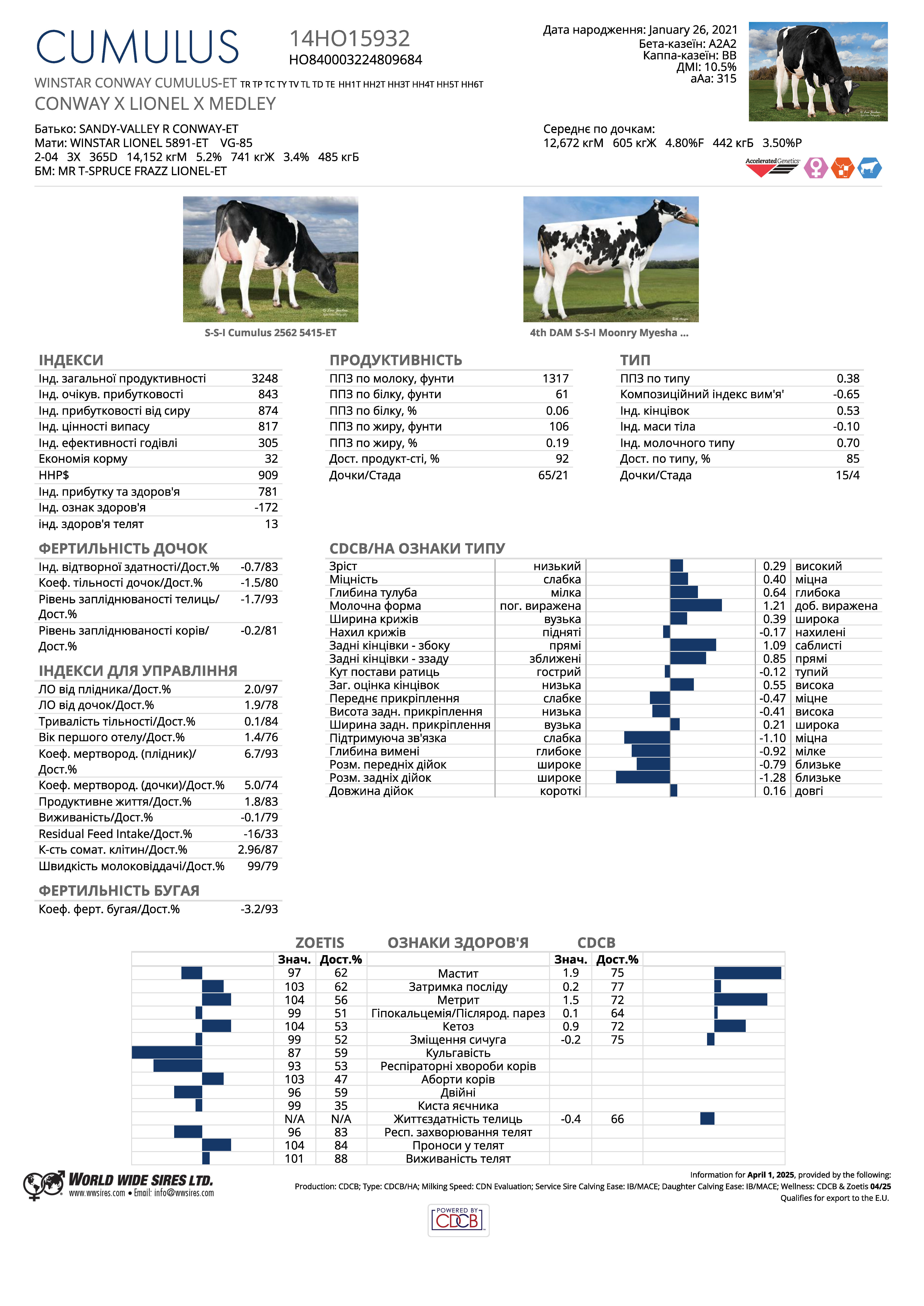 бугай Кумулус