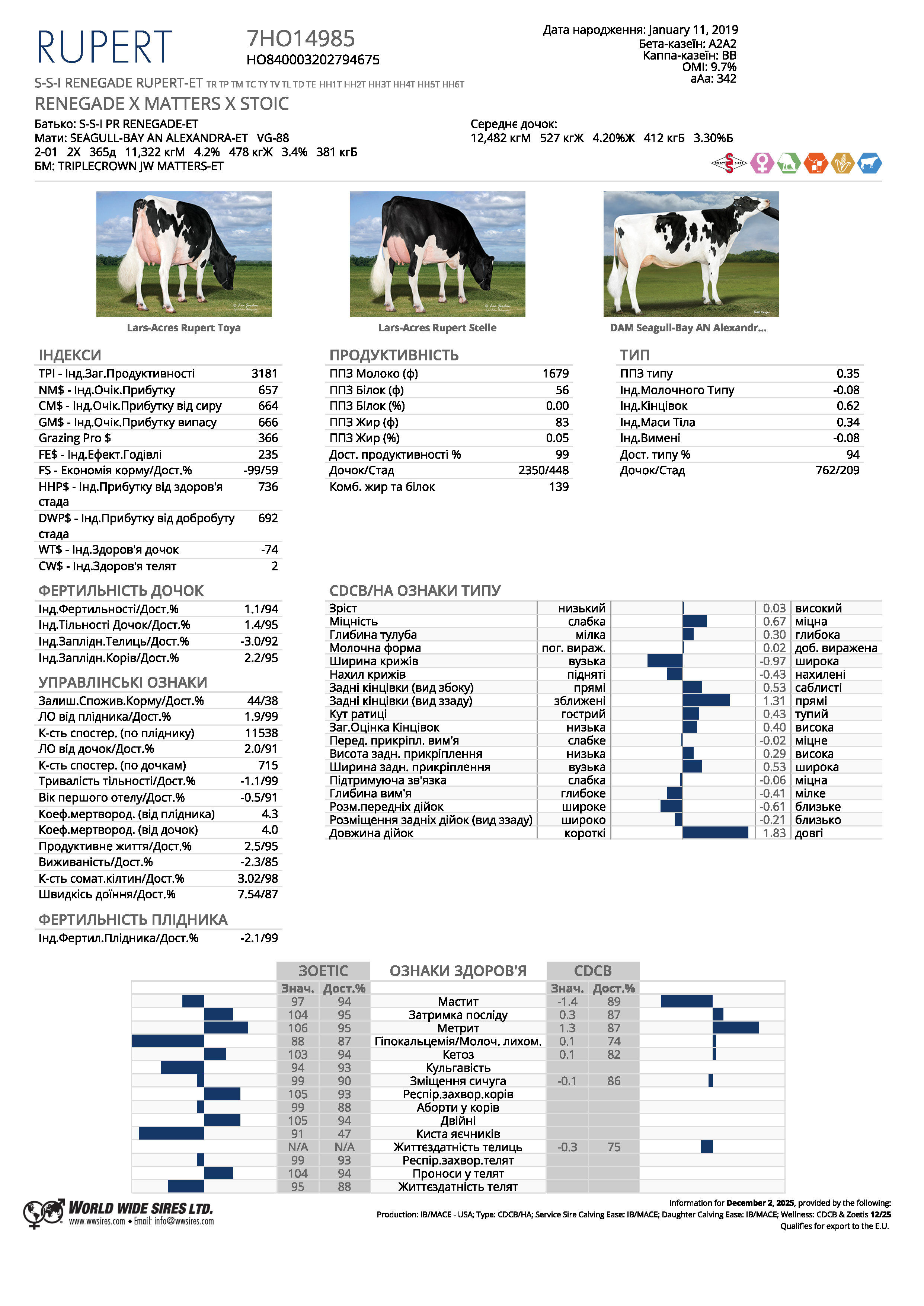 спермопродукція Бугай RUPERT