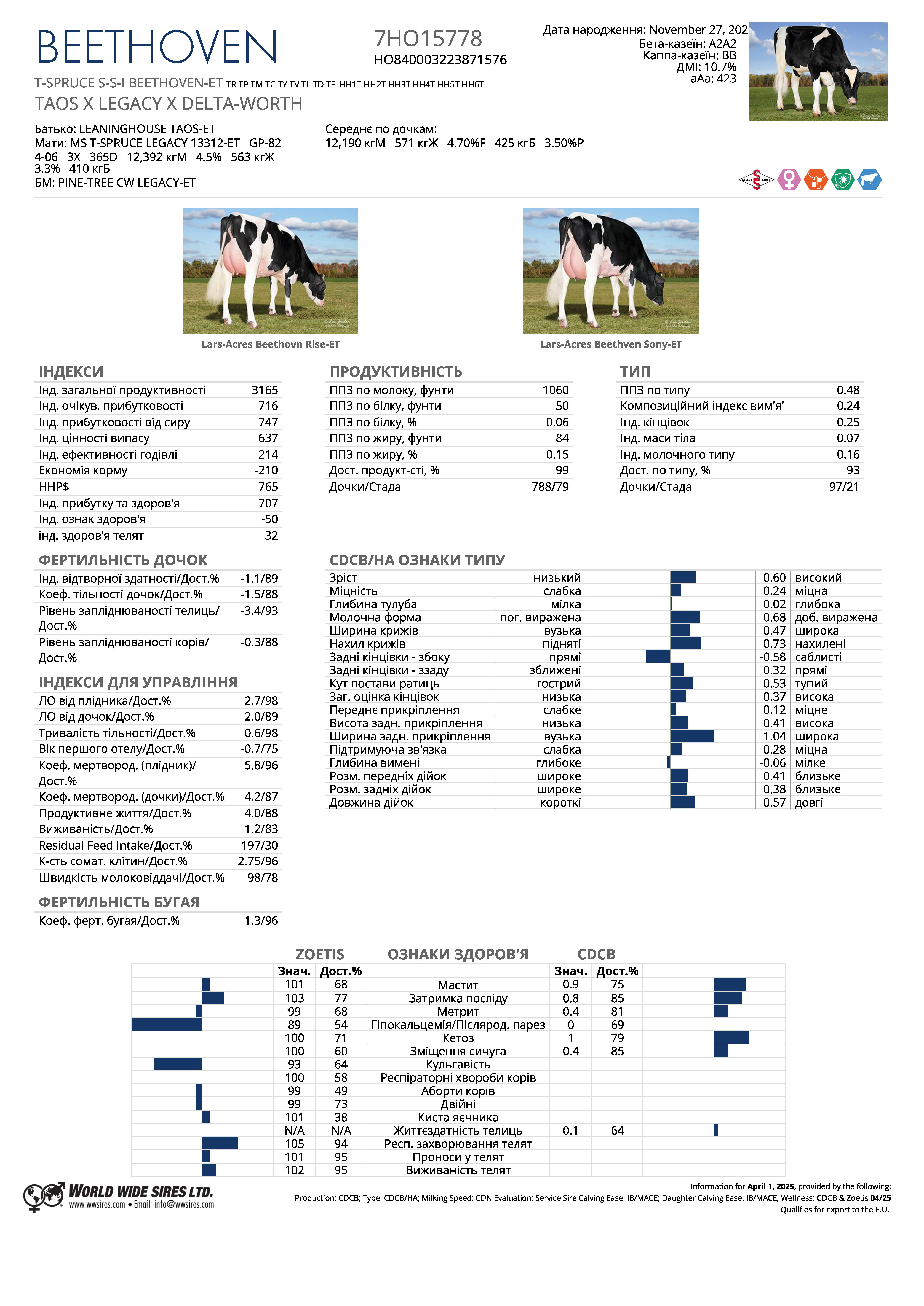 бугай Бетховен