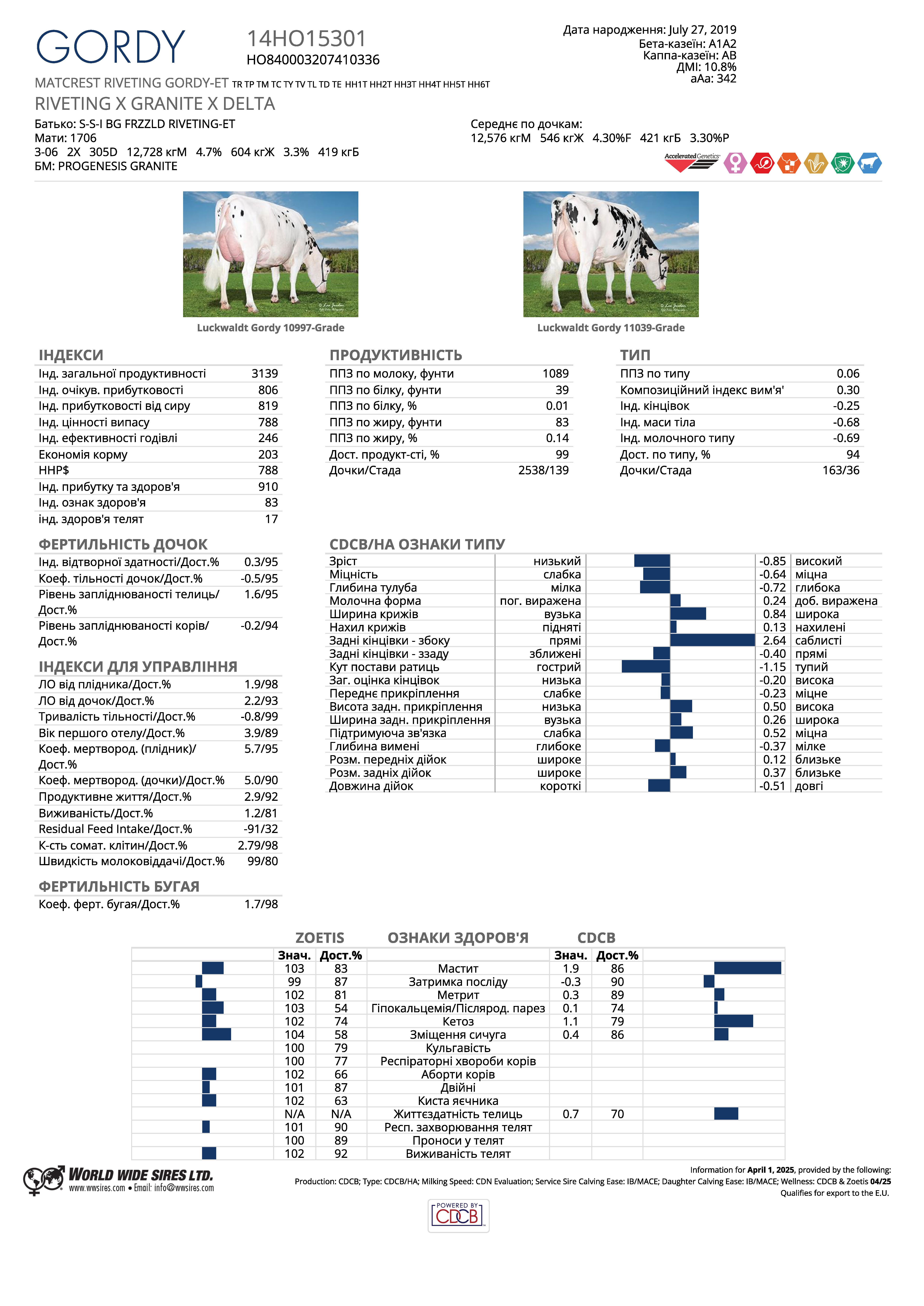 бугай Горді