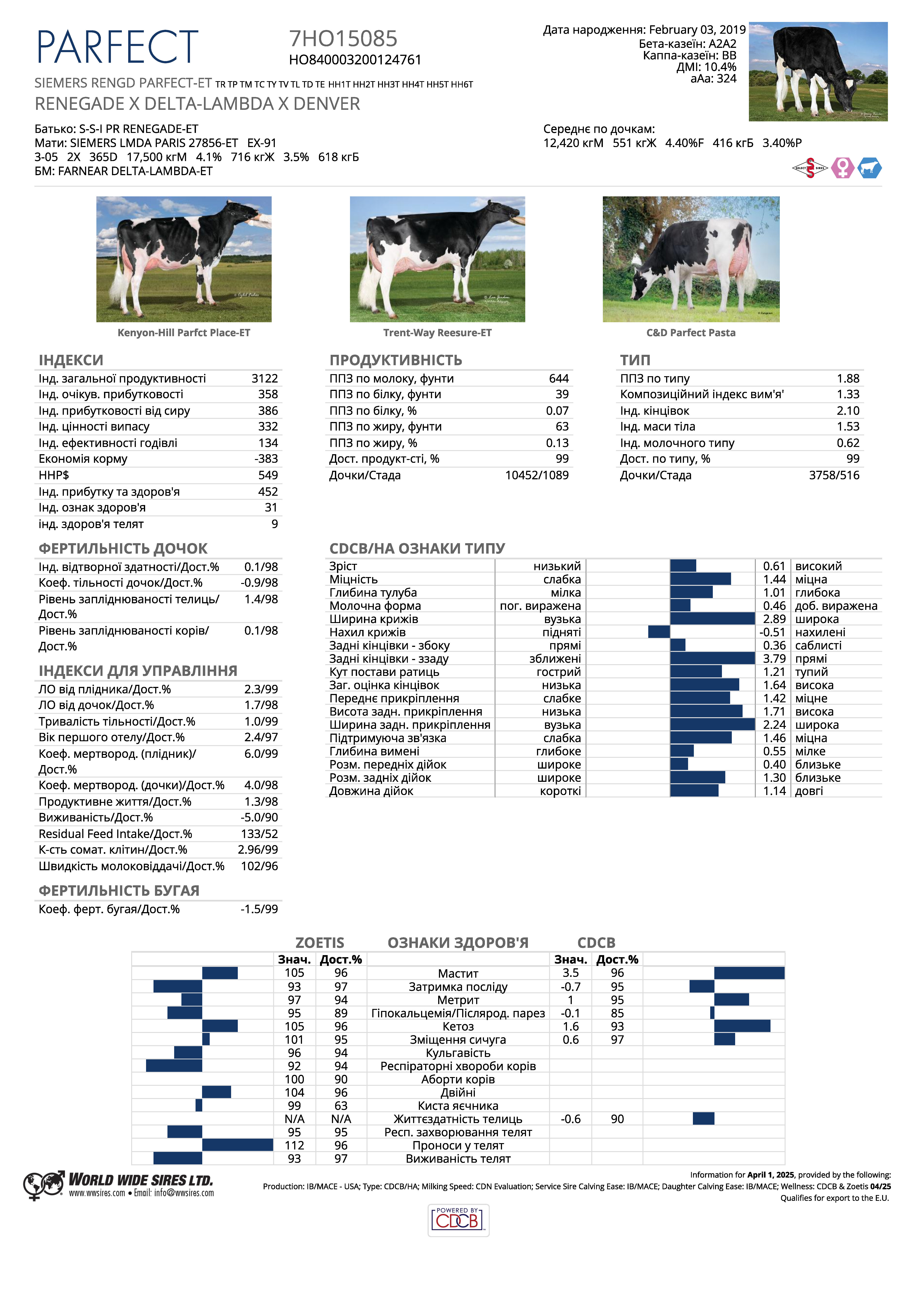 бугай Парфект