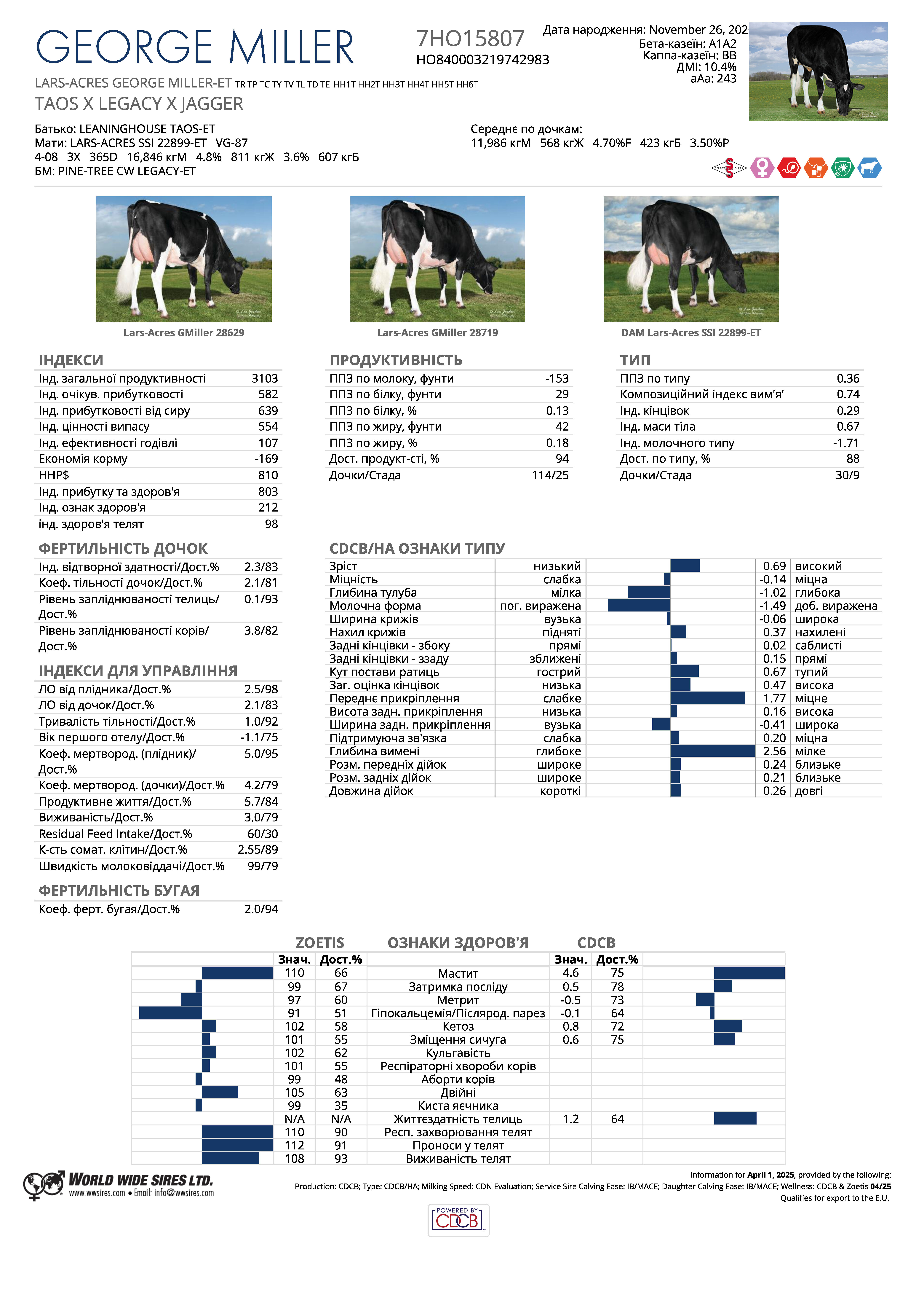 бугай Джордж Міллер