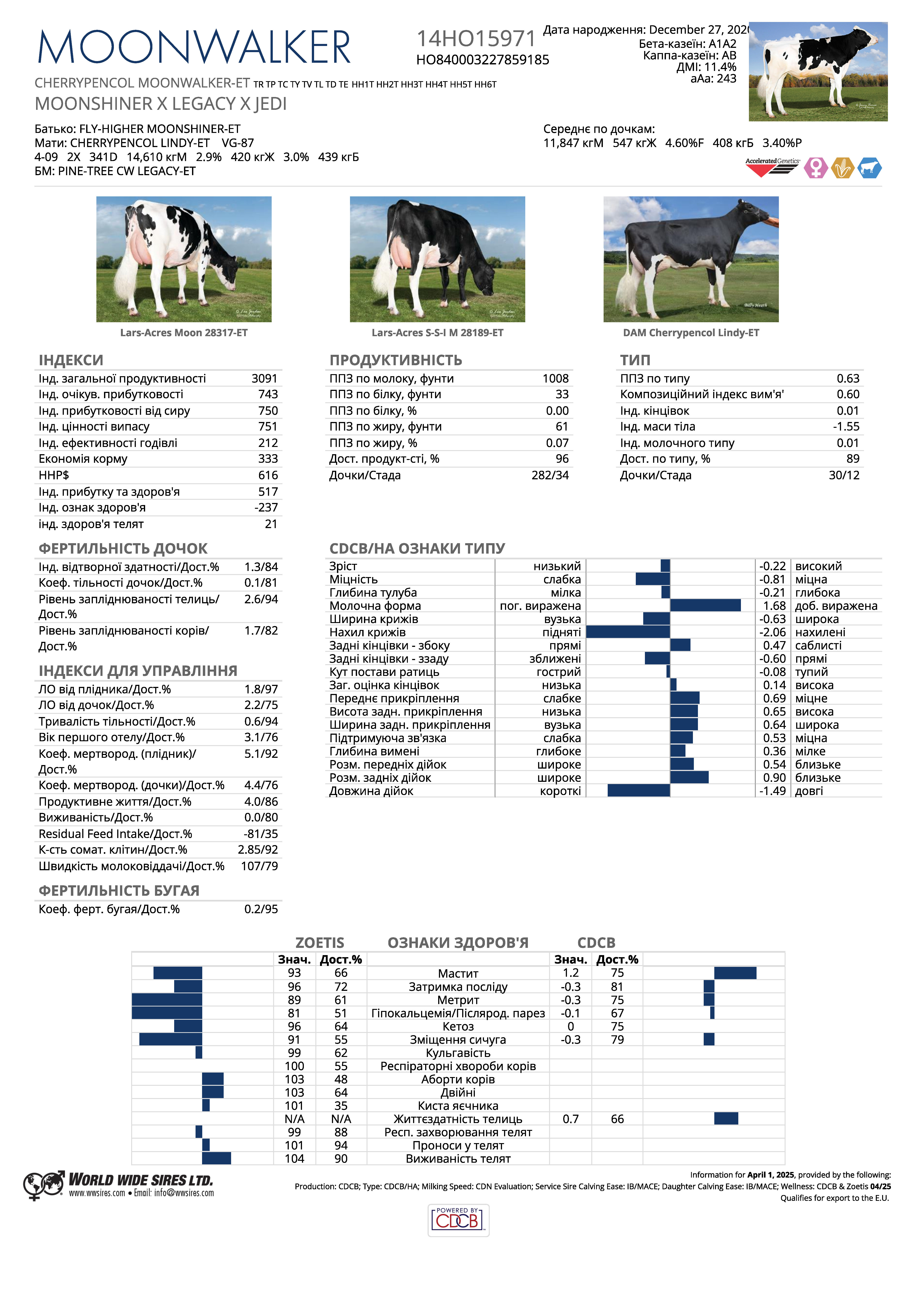 бугай Мунволкер