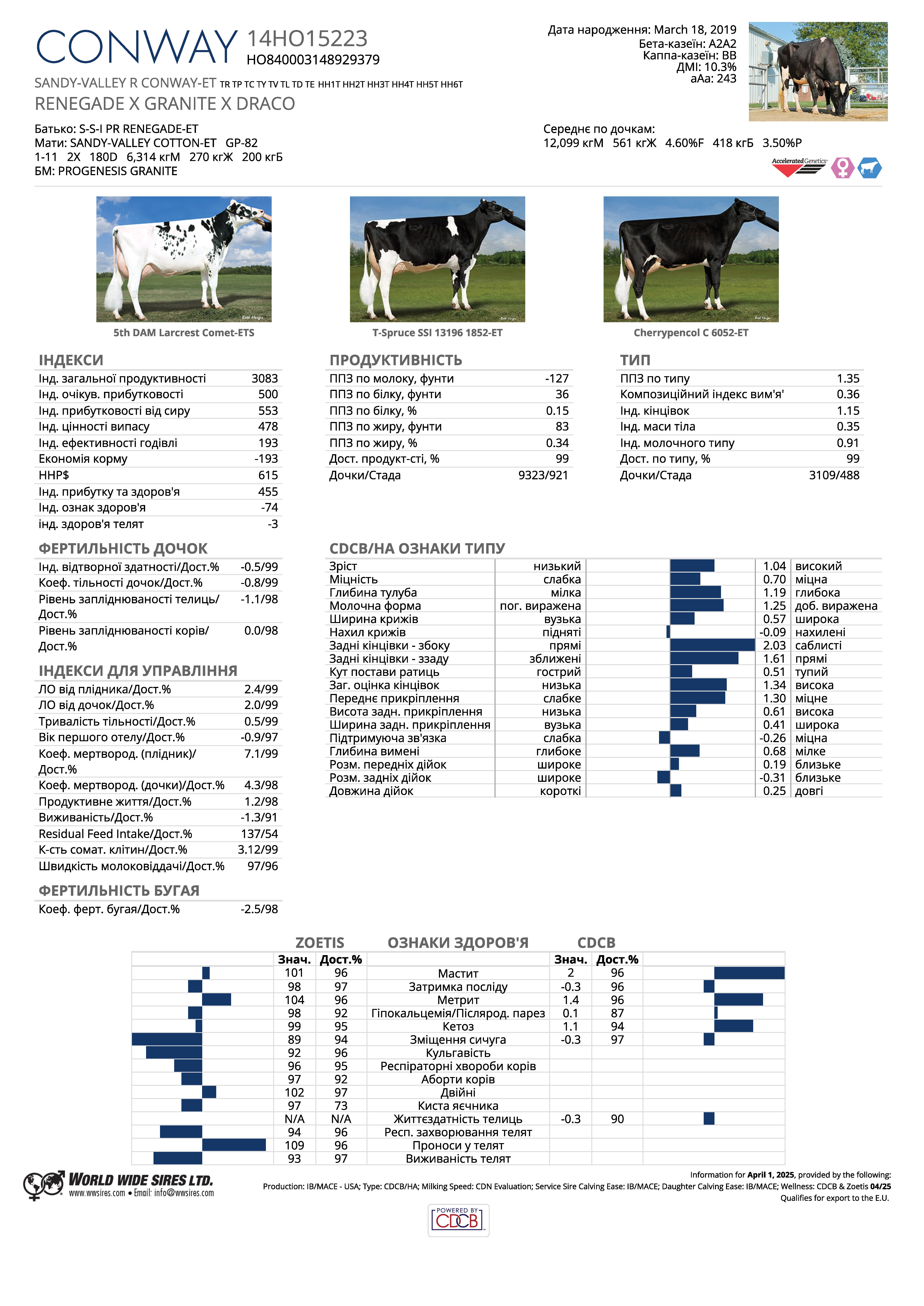 бугай Конвей