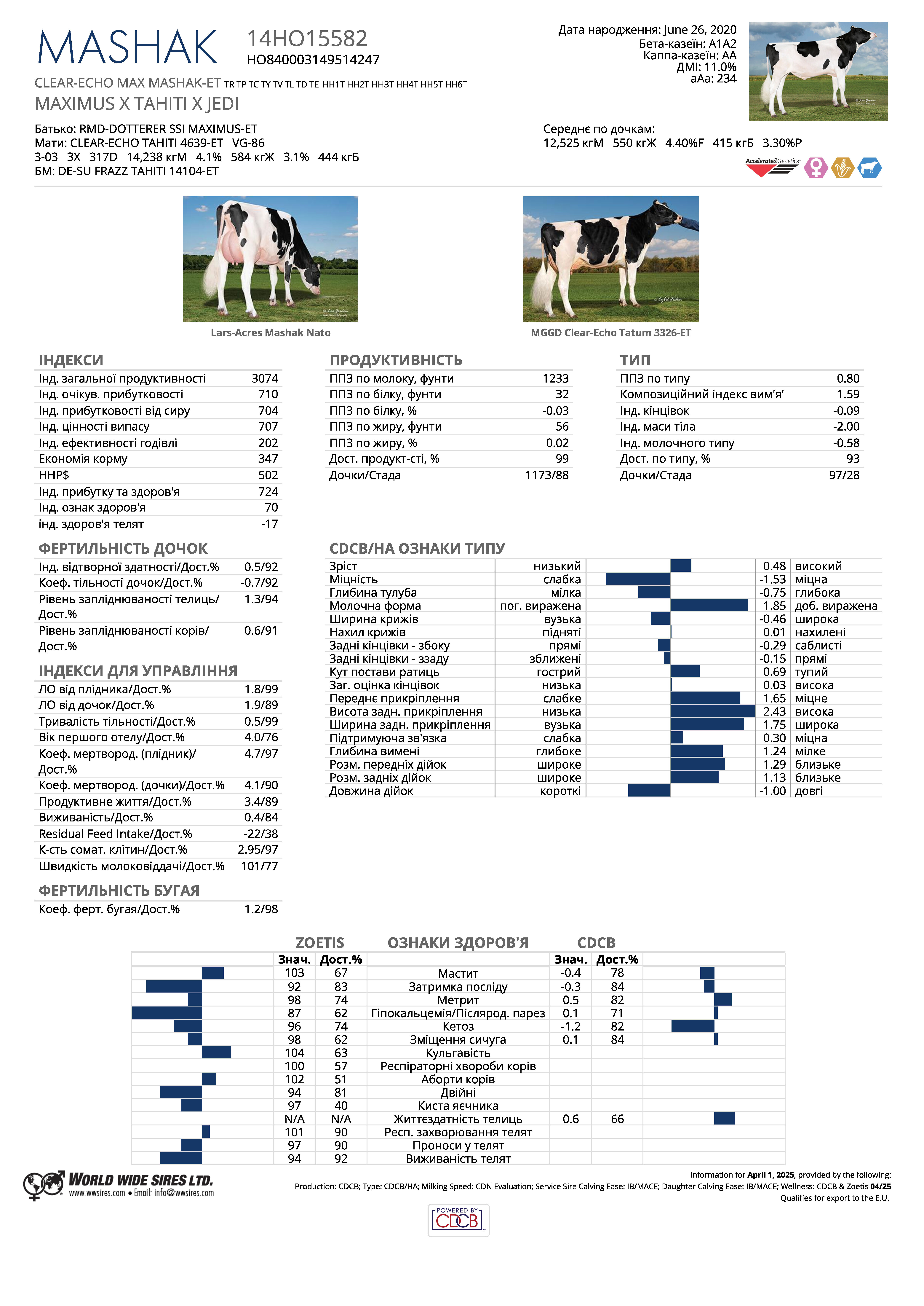 бугай Машак