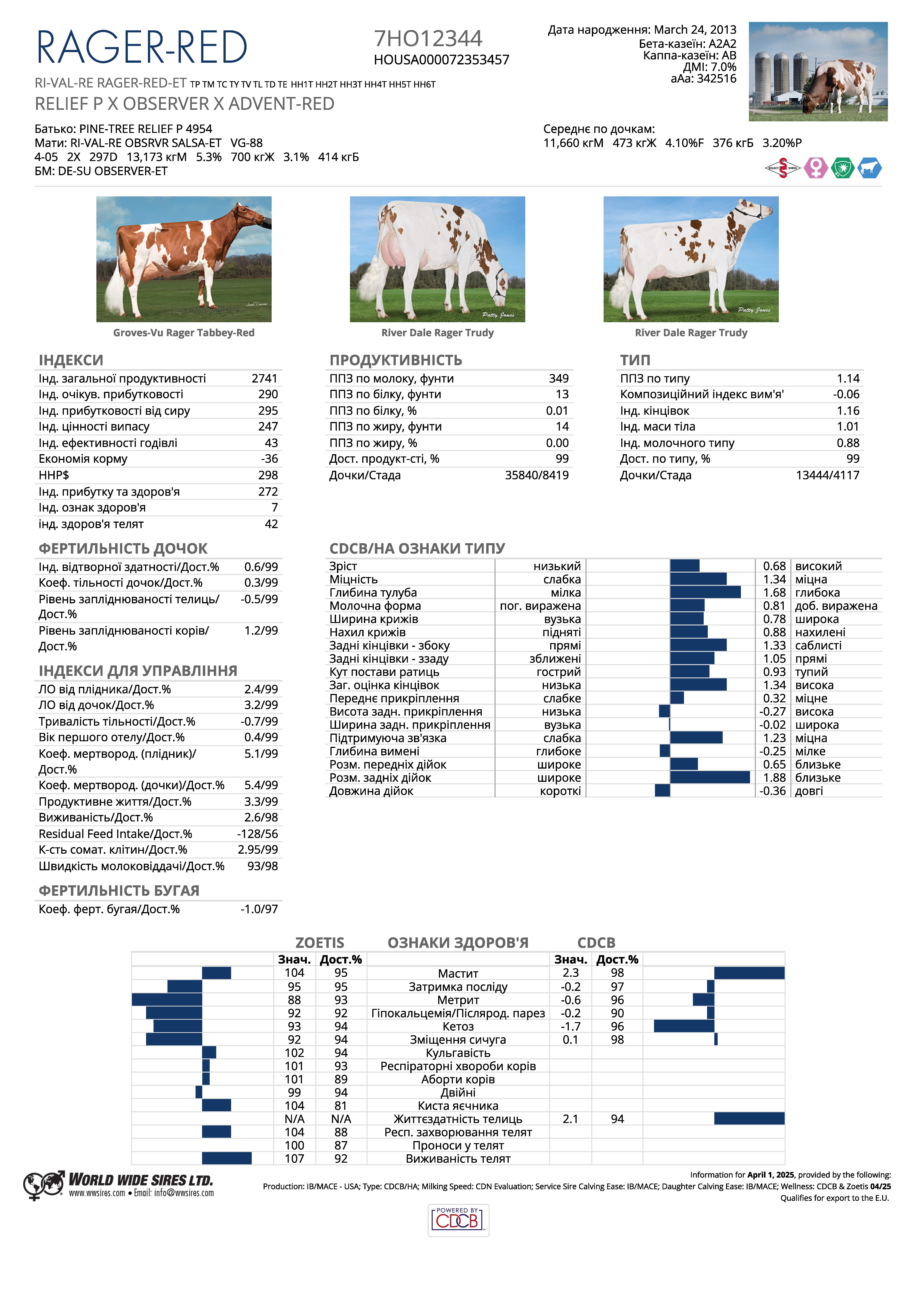 бугай Рагер Ред