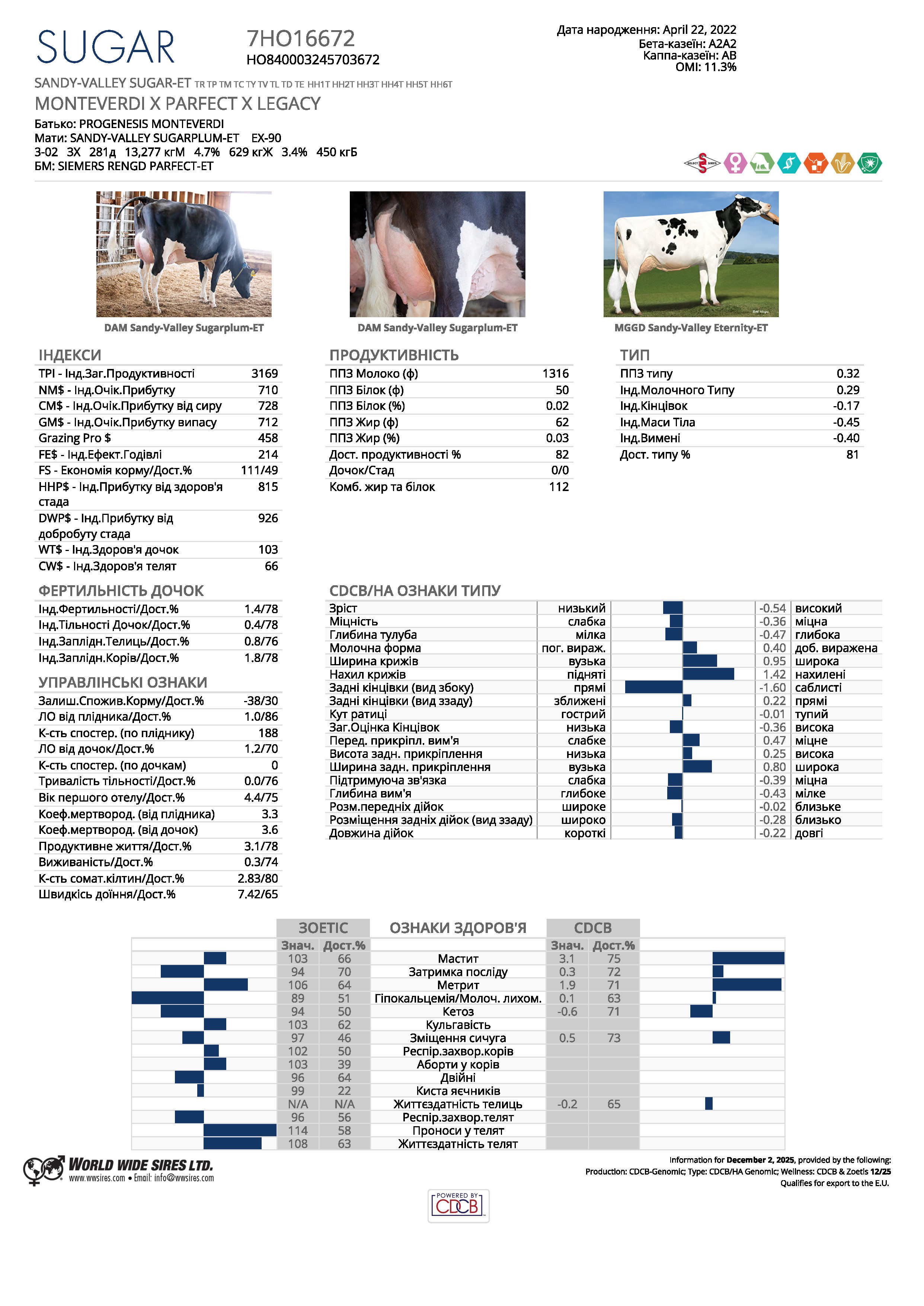 спермопродукція бугай SUGAR голштин