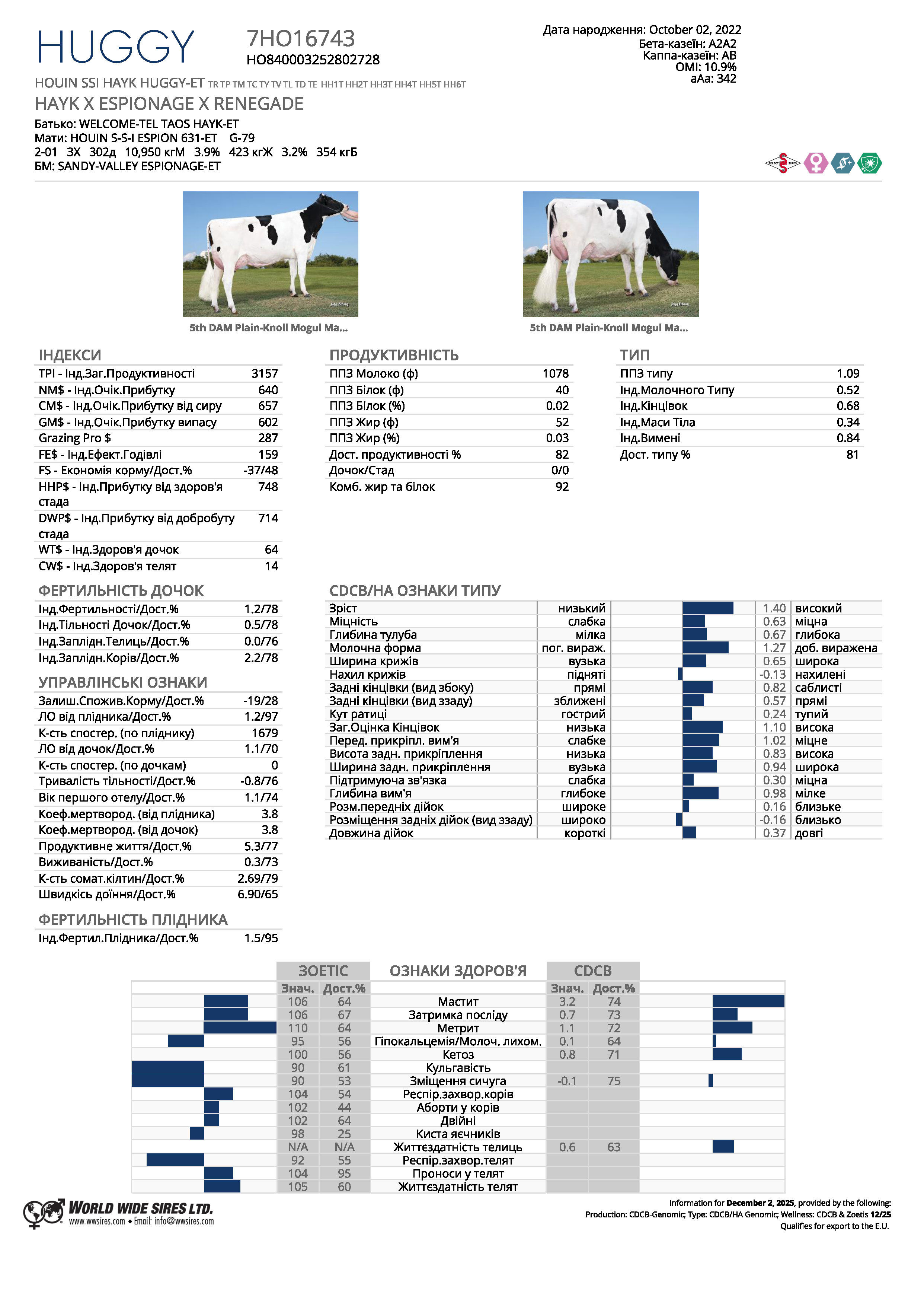 спермопродукція бугай HUGGY голштин