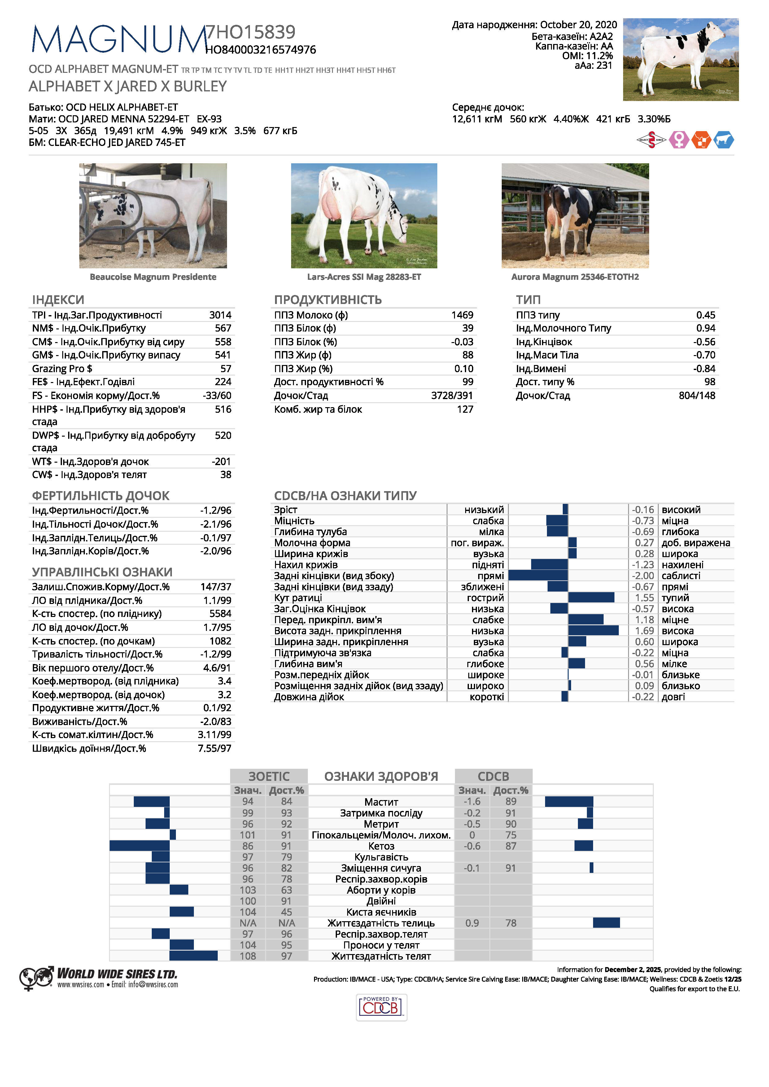 спермопродукція бугай MAGNUM голштин