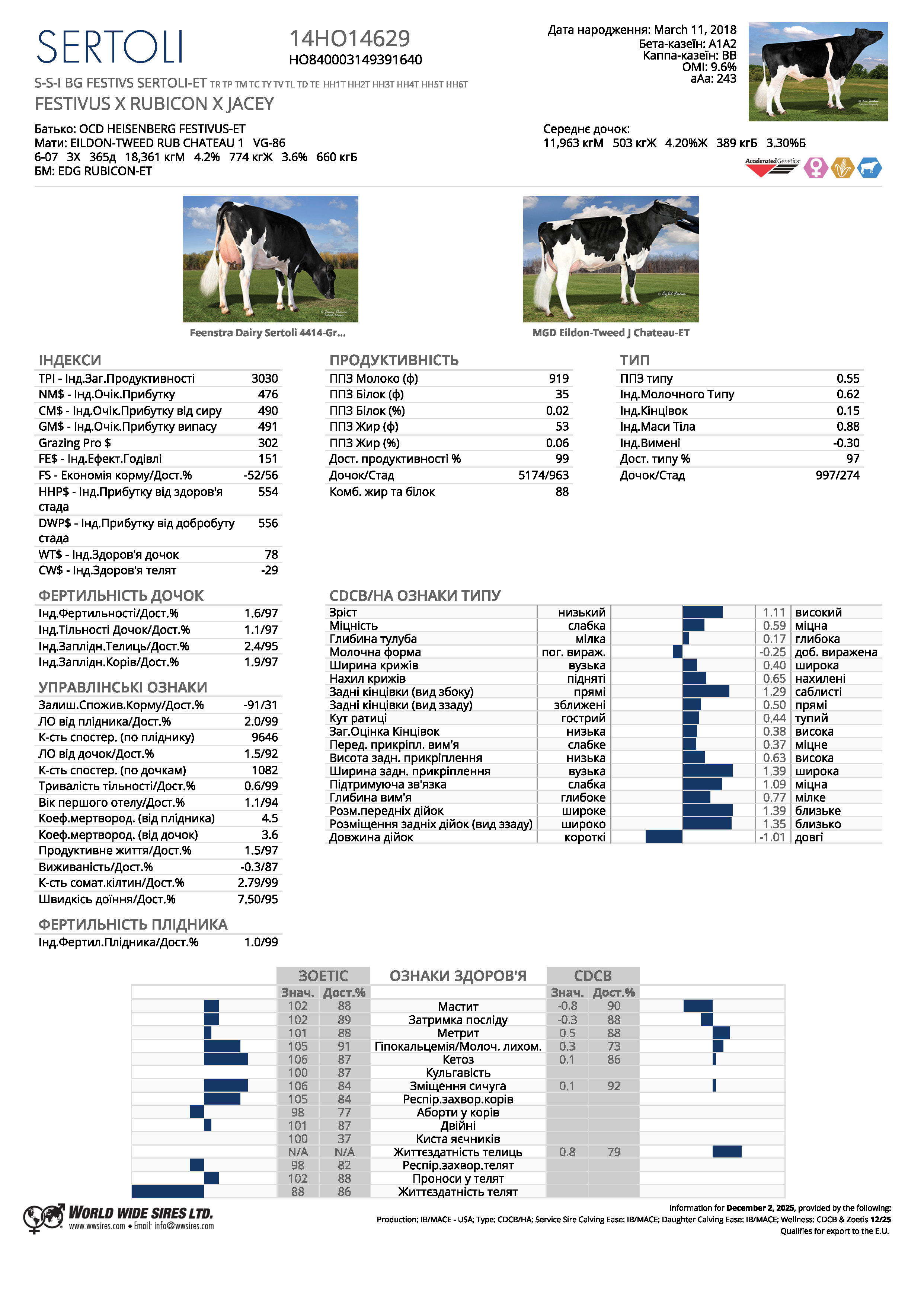 спермопродукція бугай SERTOLI голштин