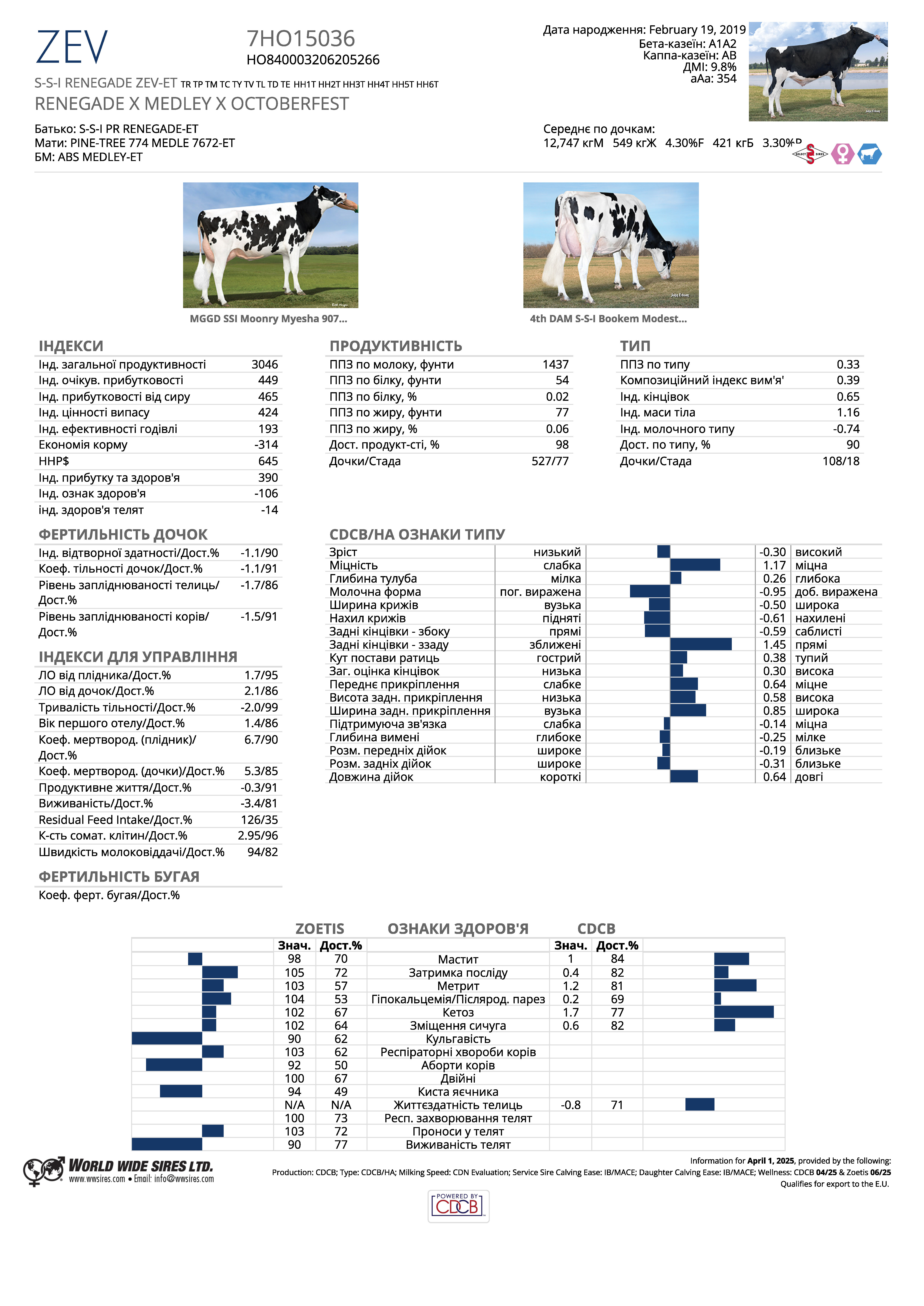 спермопродукція бугай Зев голштин