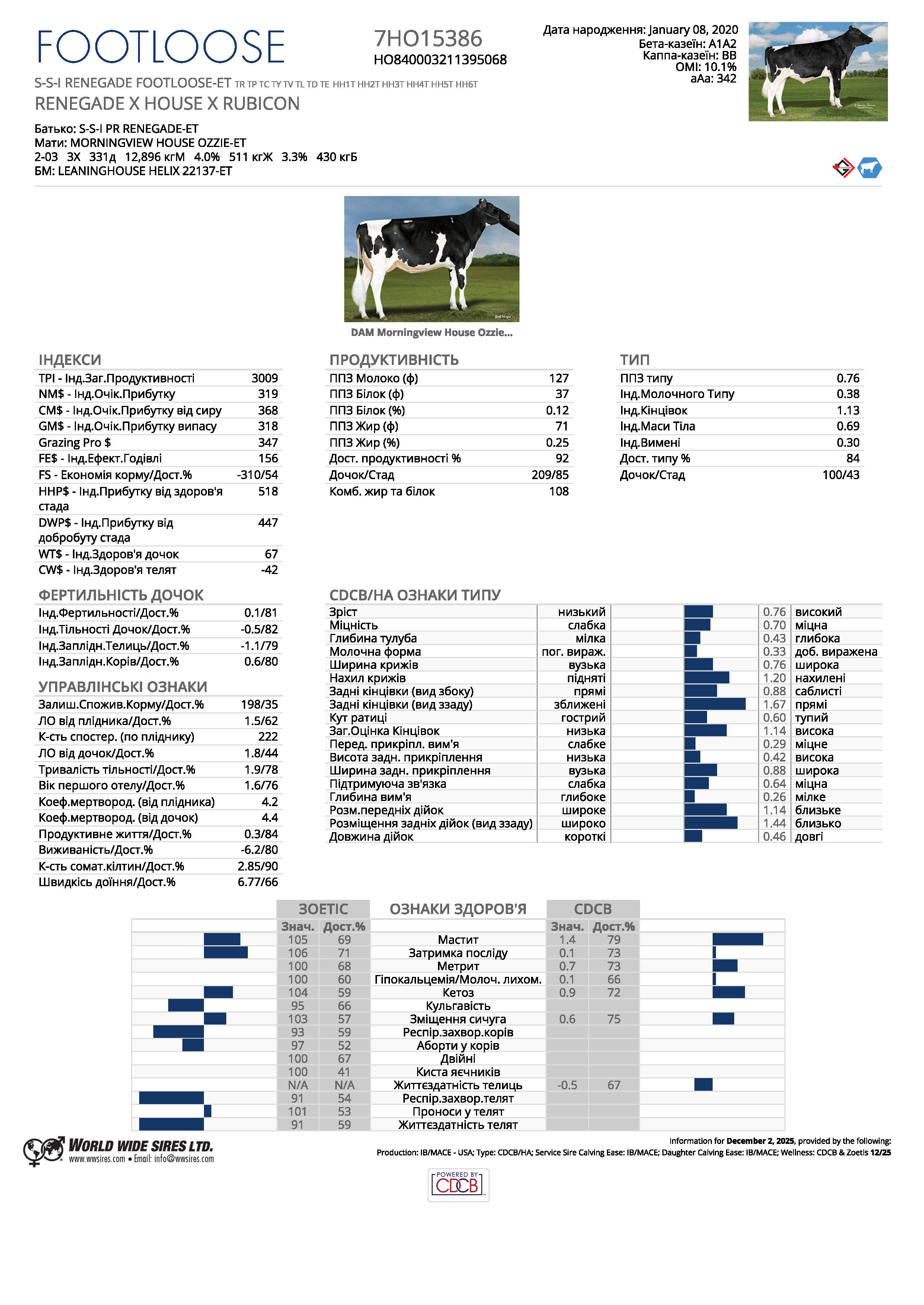 спермопродукція бугай FOOTLOOSE голштин