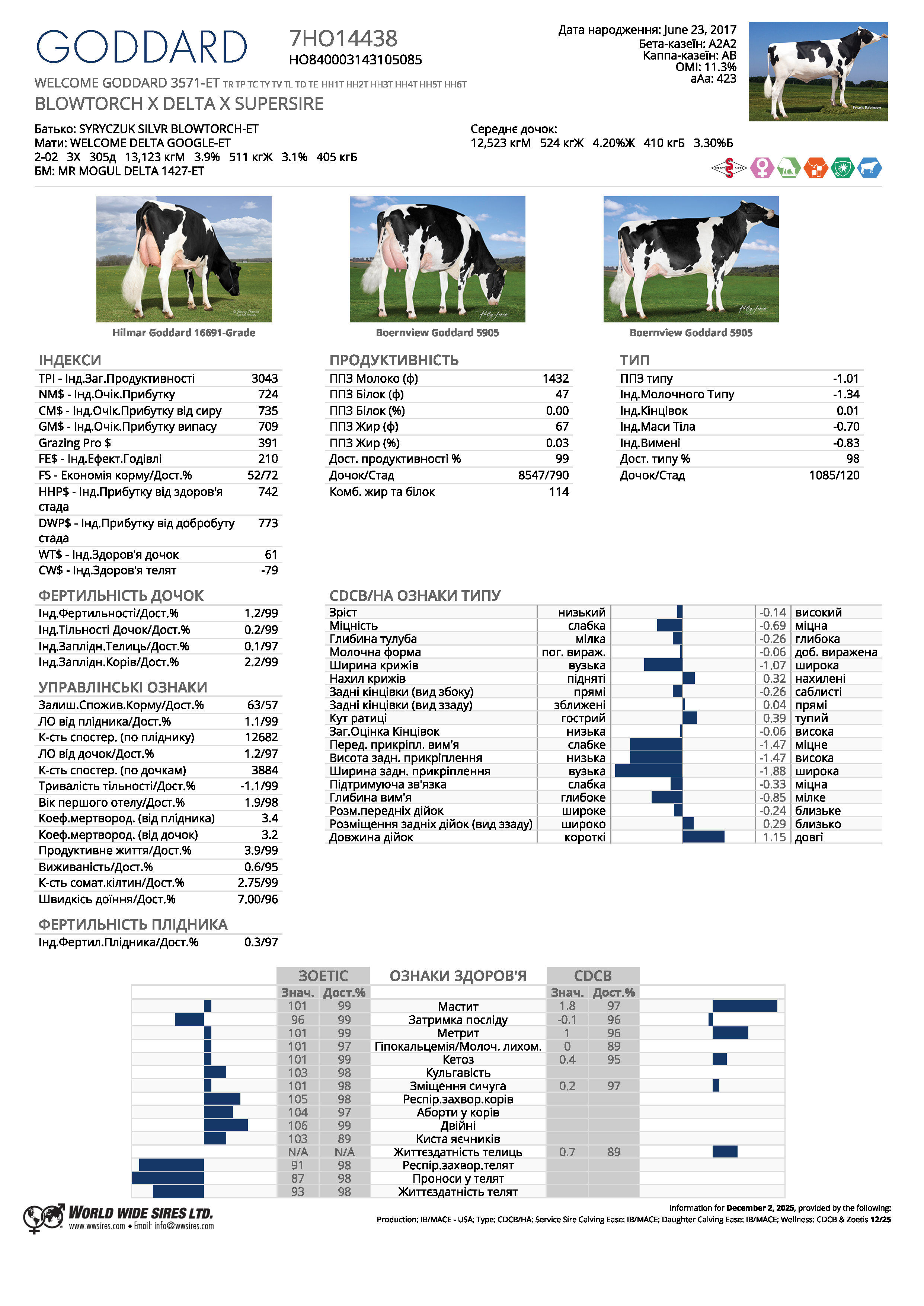 спермопродукція бугай GODDARD голштин