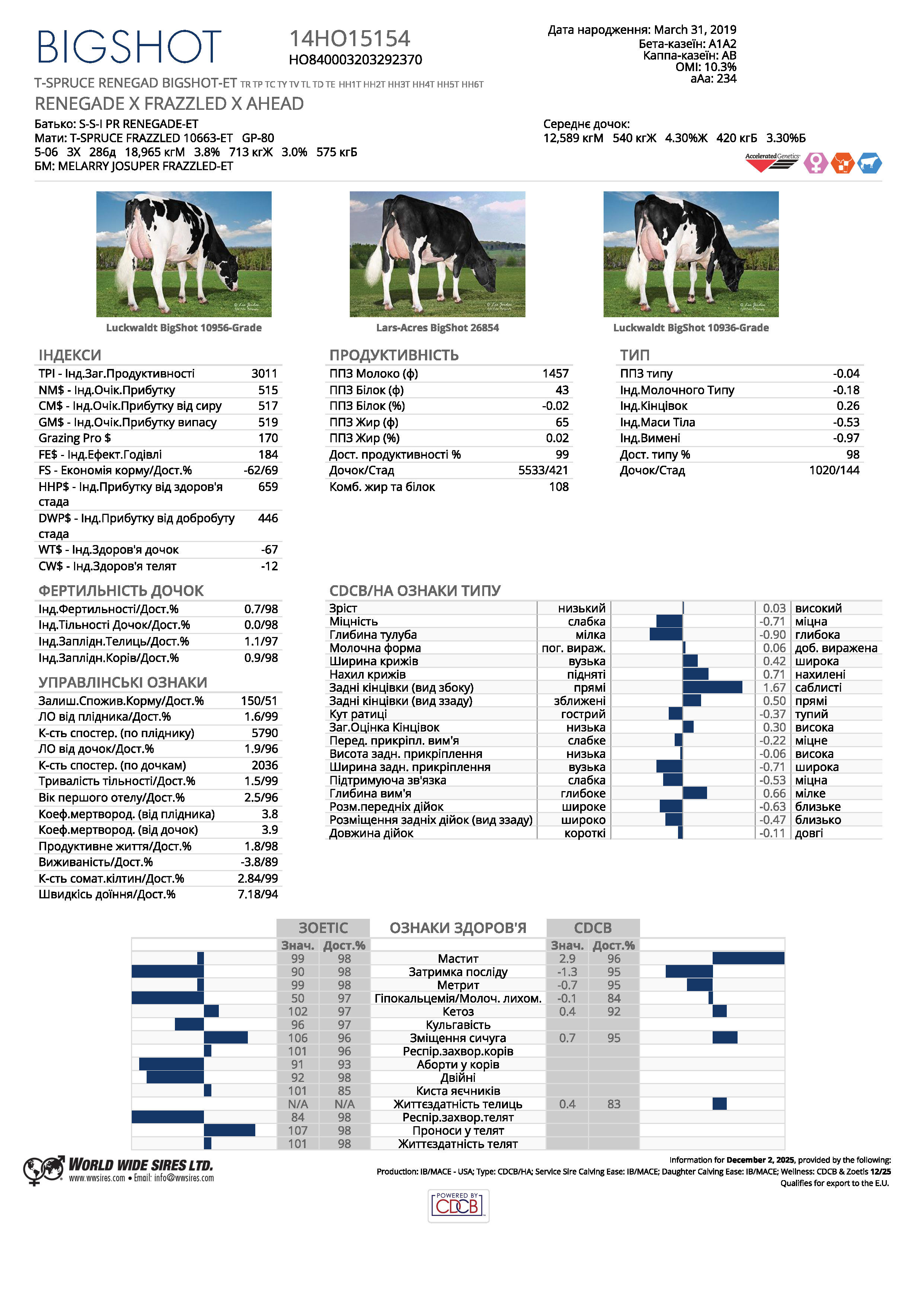 спермопродукція бугай BIGSHOT голштин