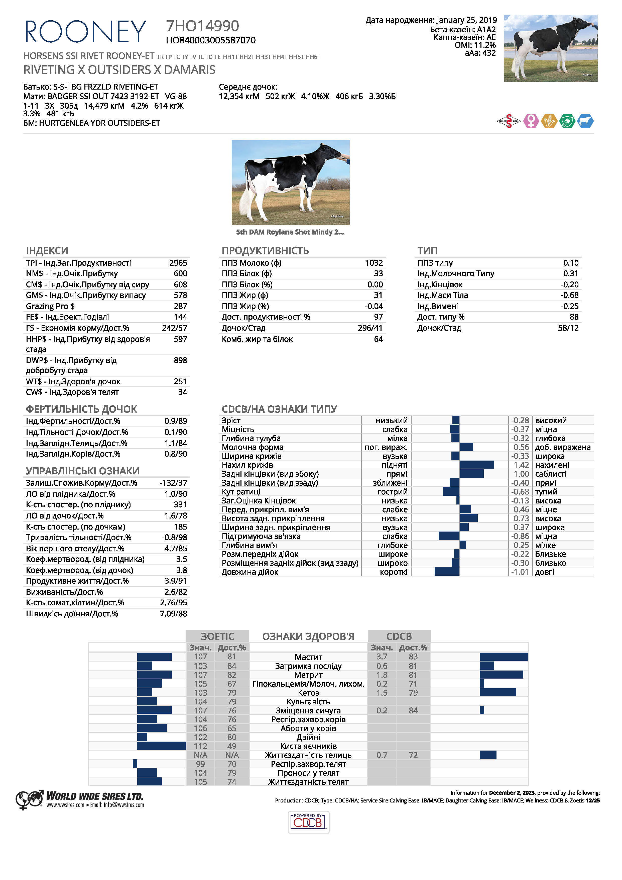 спермопродукція бугай ROONEY голштин