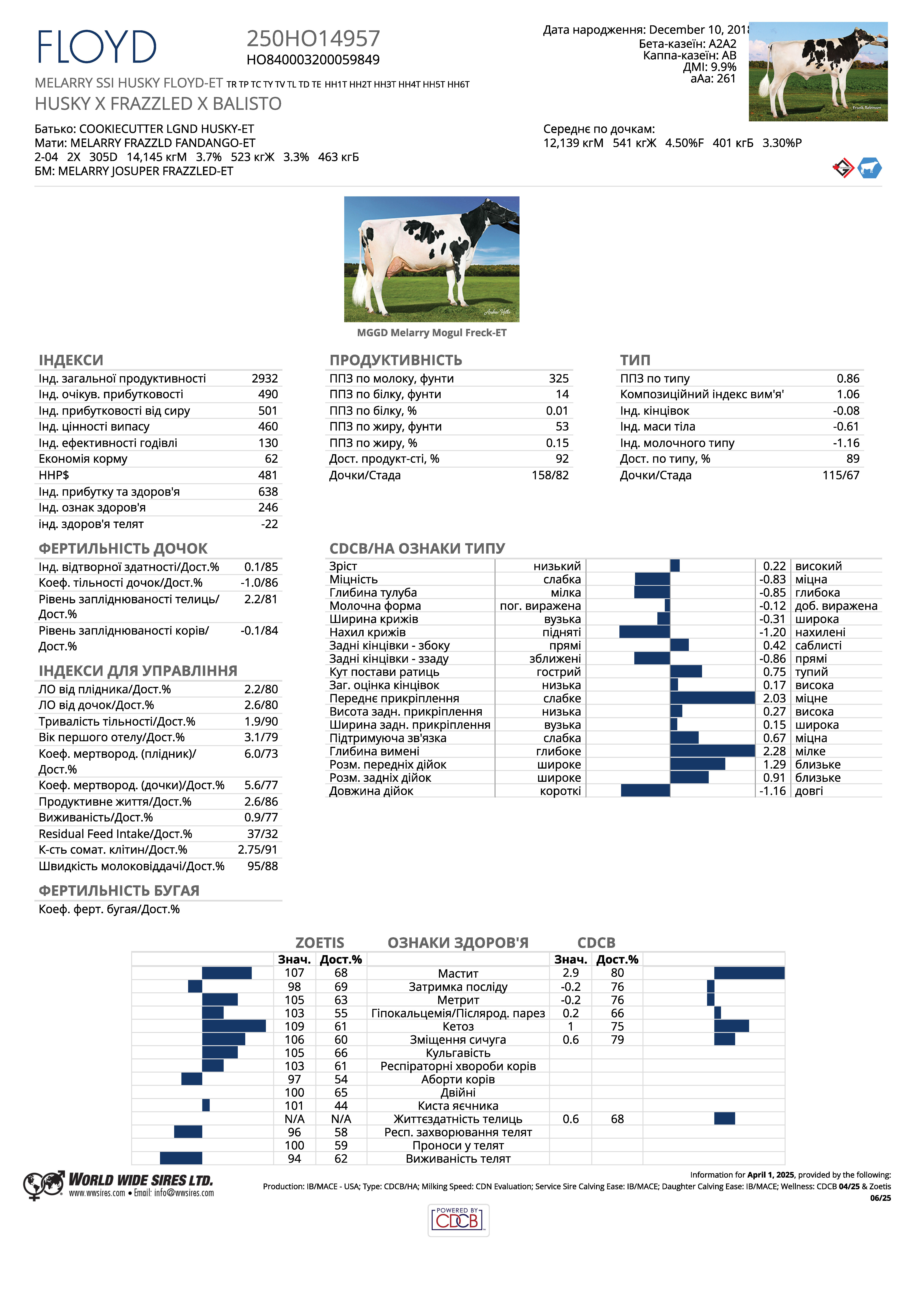 спермопродукція бугай Флойд голштин