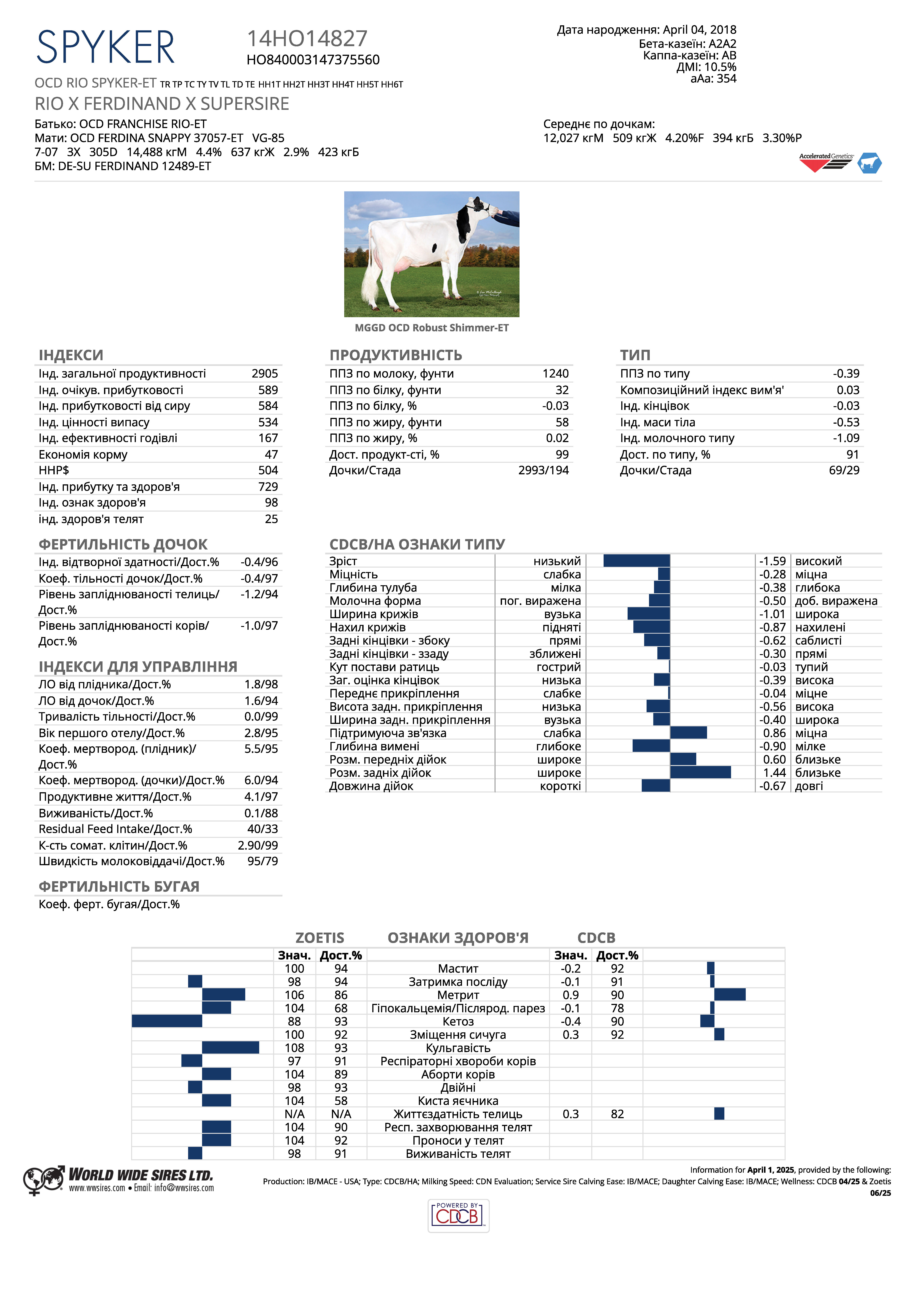 спермопродукція бугай Спайкер голштин