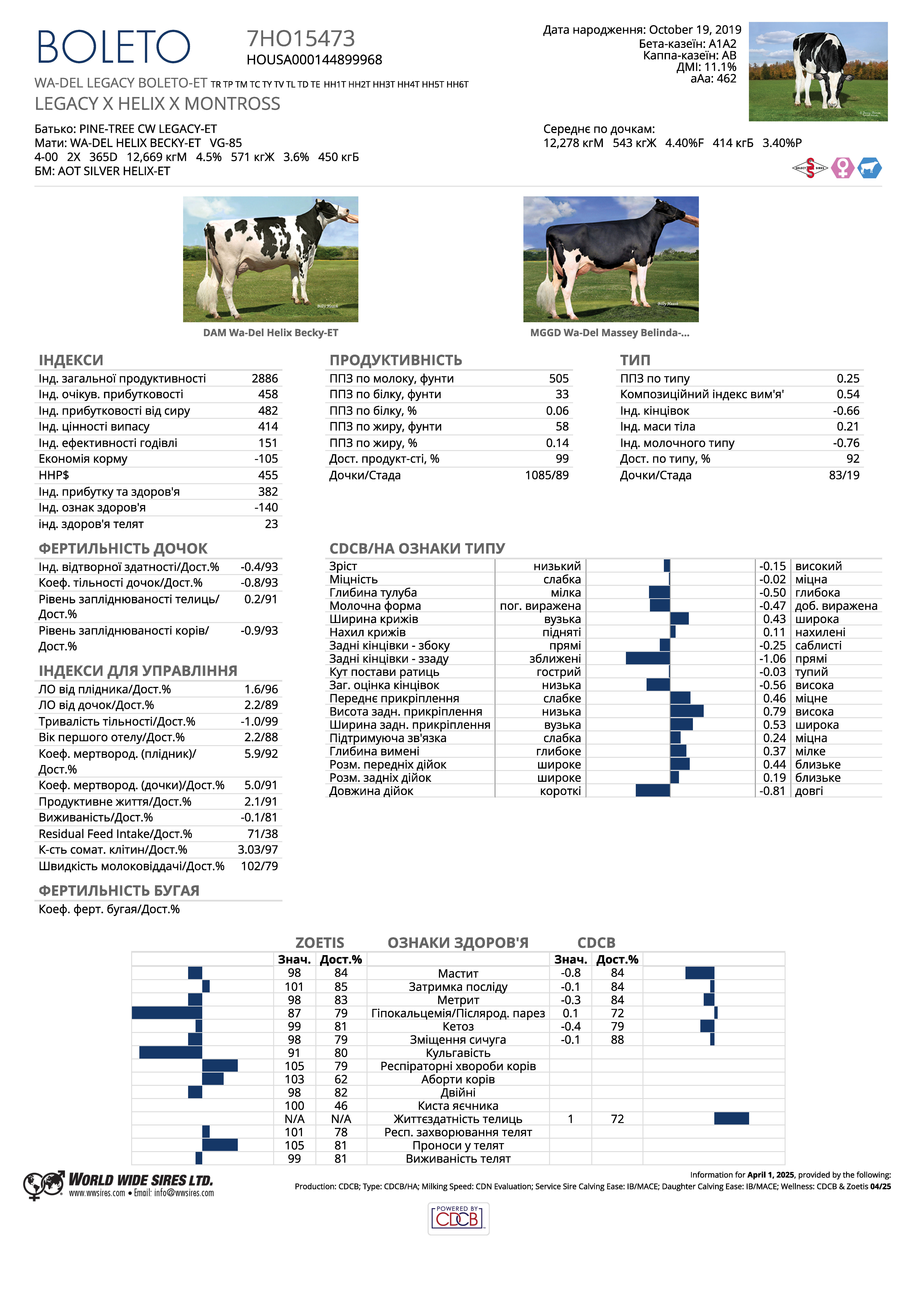 спермопродукція бугай Болето голштин