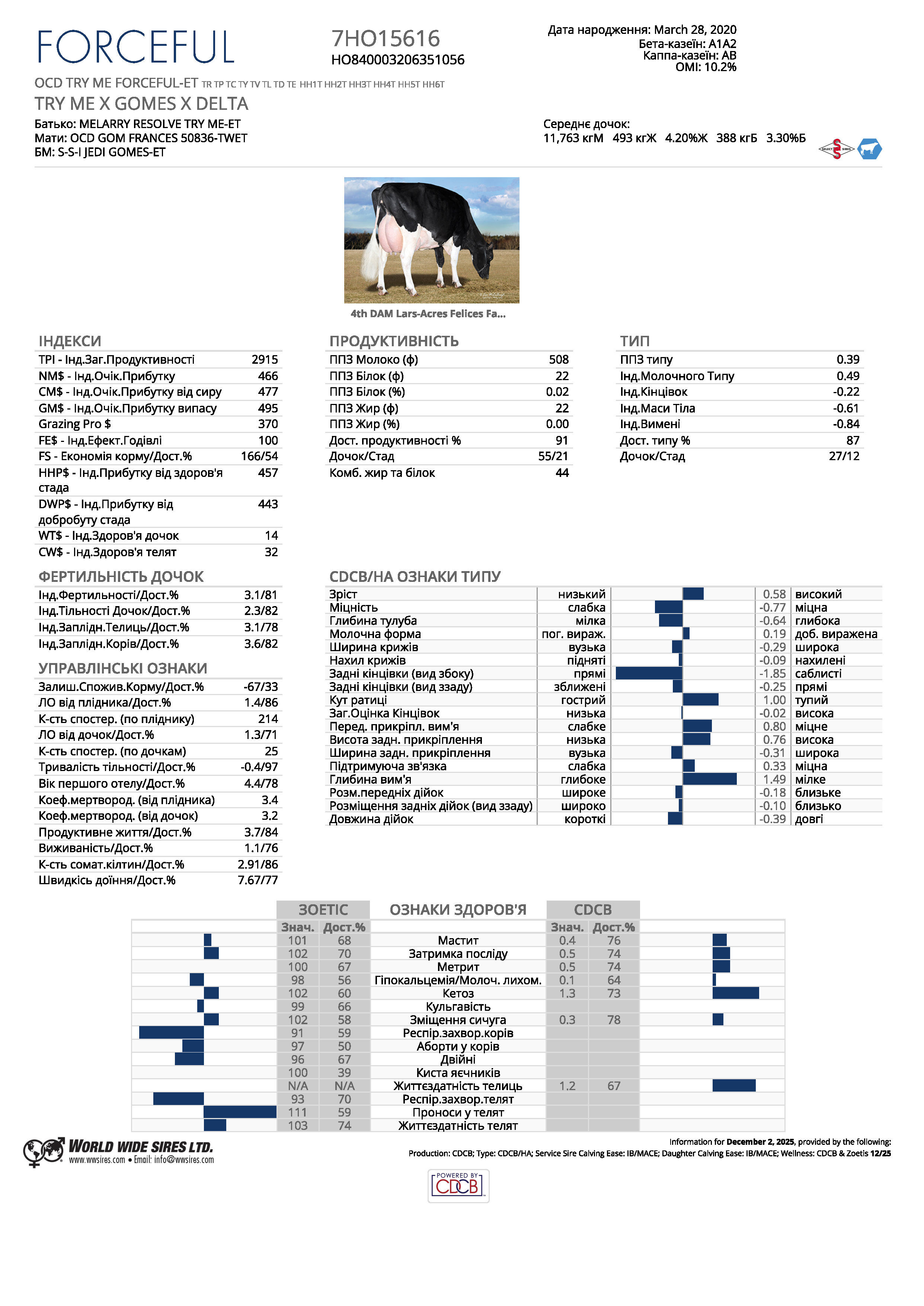 спермопродукція бугай FORCEFUL голштин