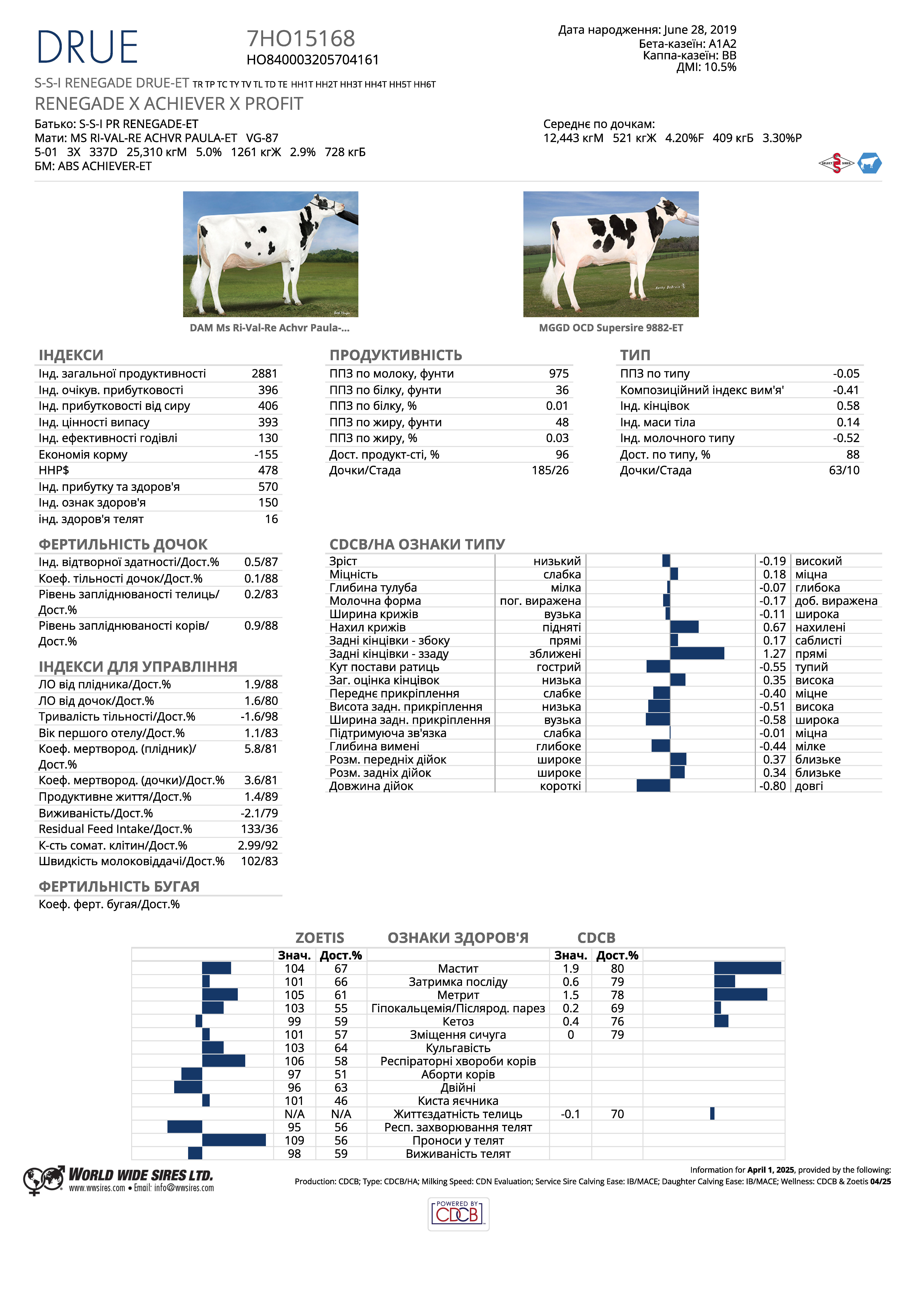 спермопродукція бугай Друе голштин