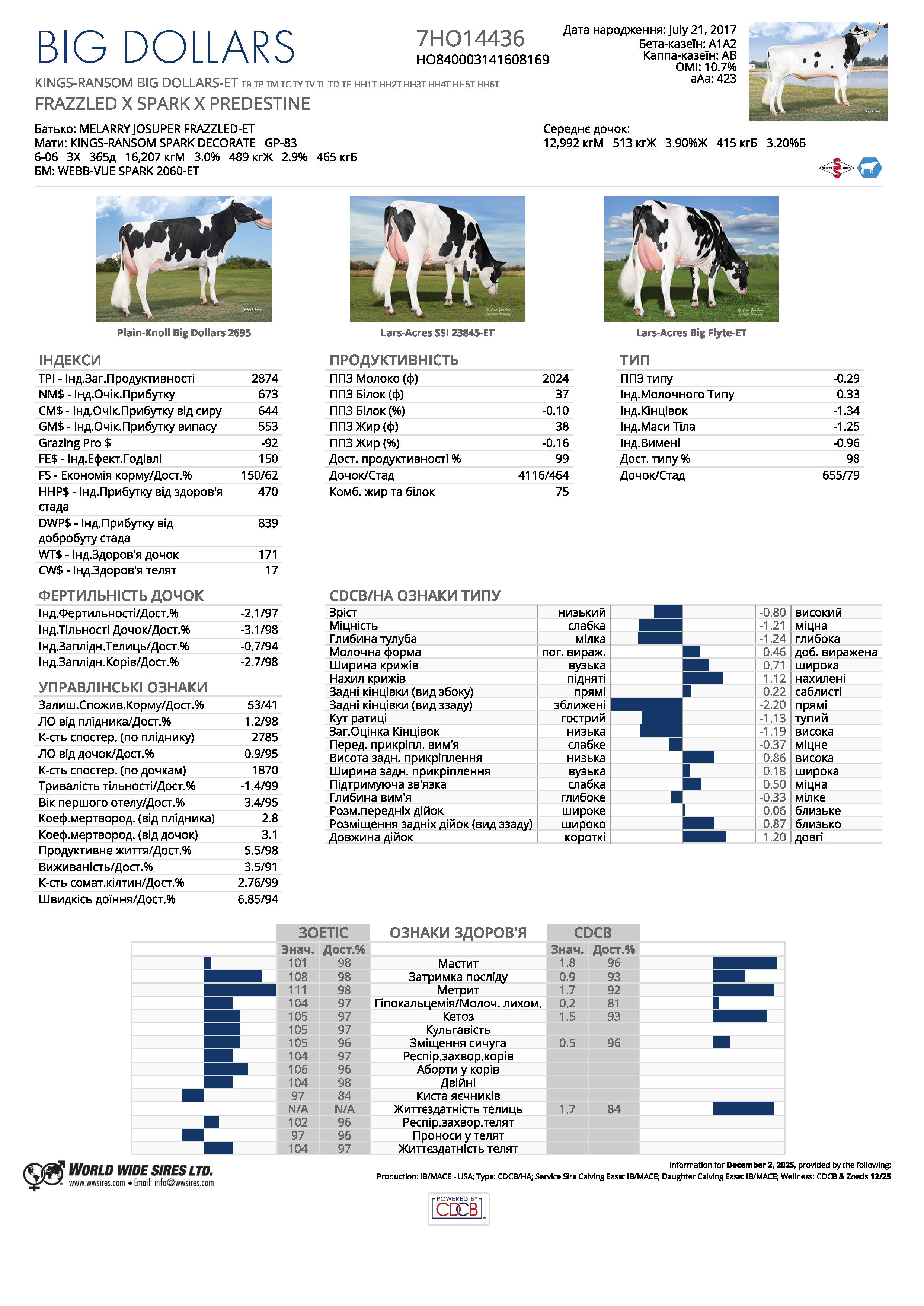 спермопродукція бугай BIG DOLLARS голштин