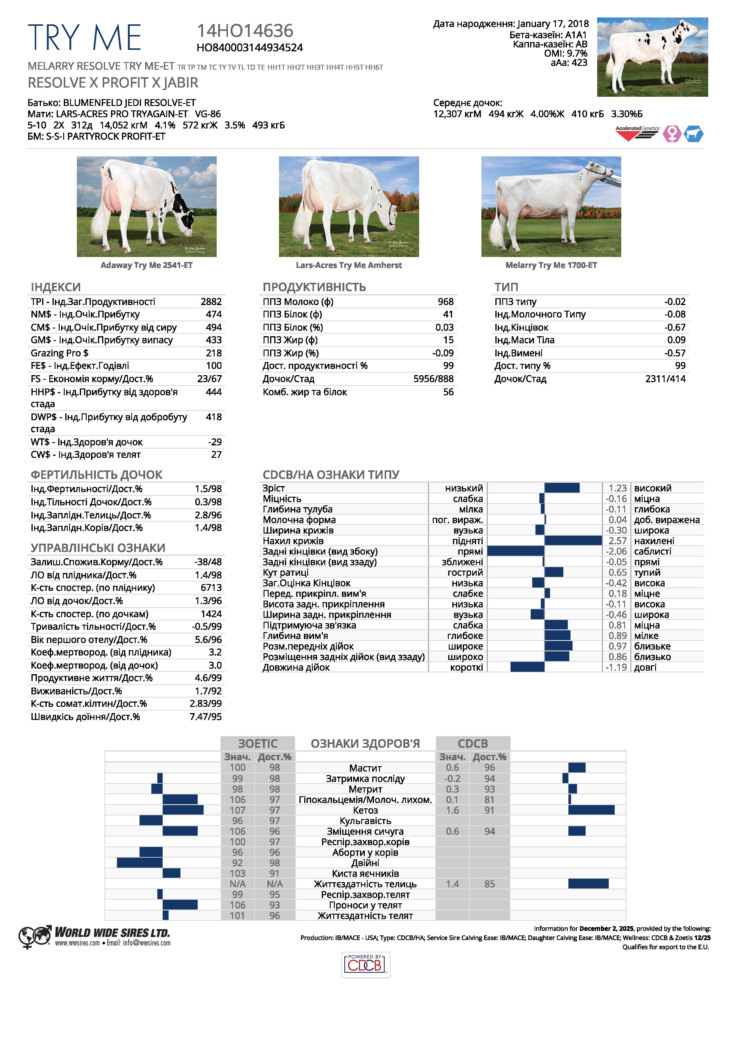 спермопродукція бугай TRY ME голштин