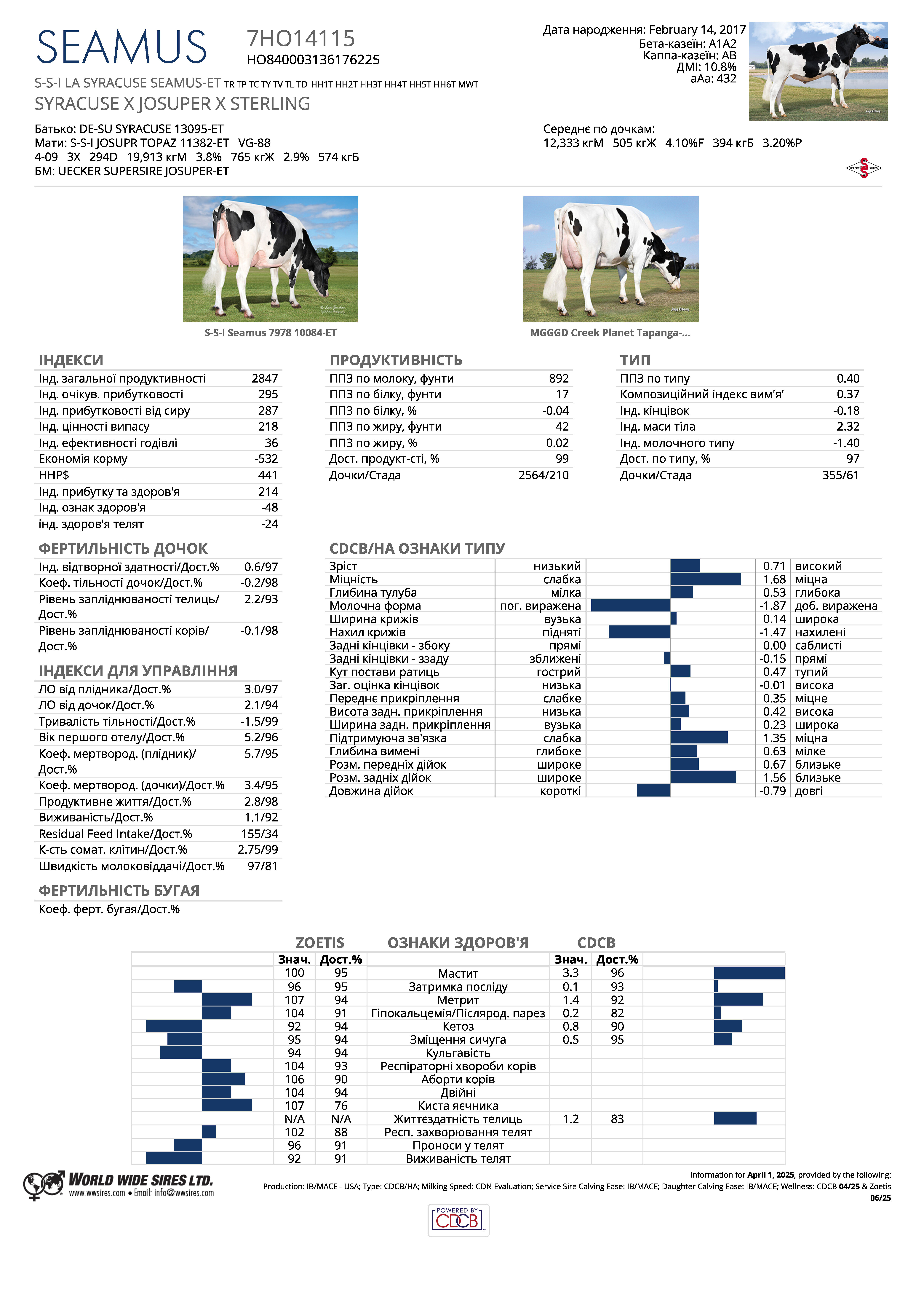 спермопродукція бугай Сеамус голштин